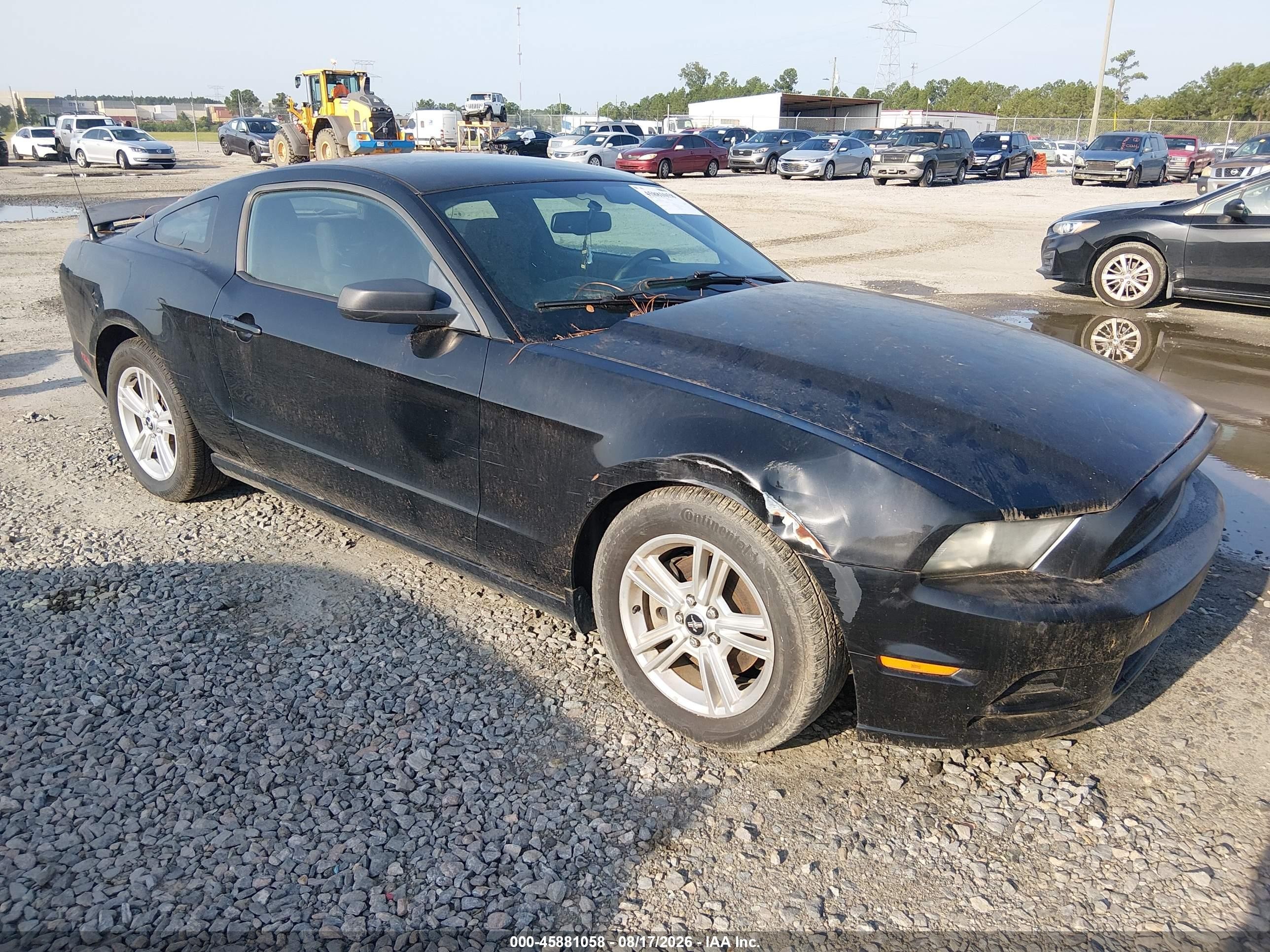 2013 Ford Mustang V6 Black vin: 1ZVBP8AM4D5241778