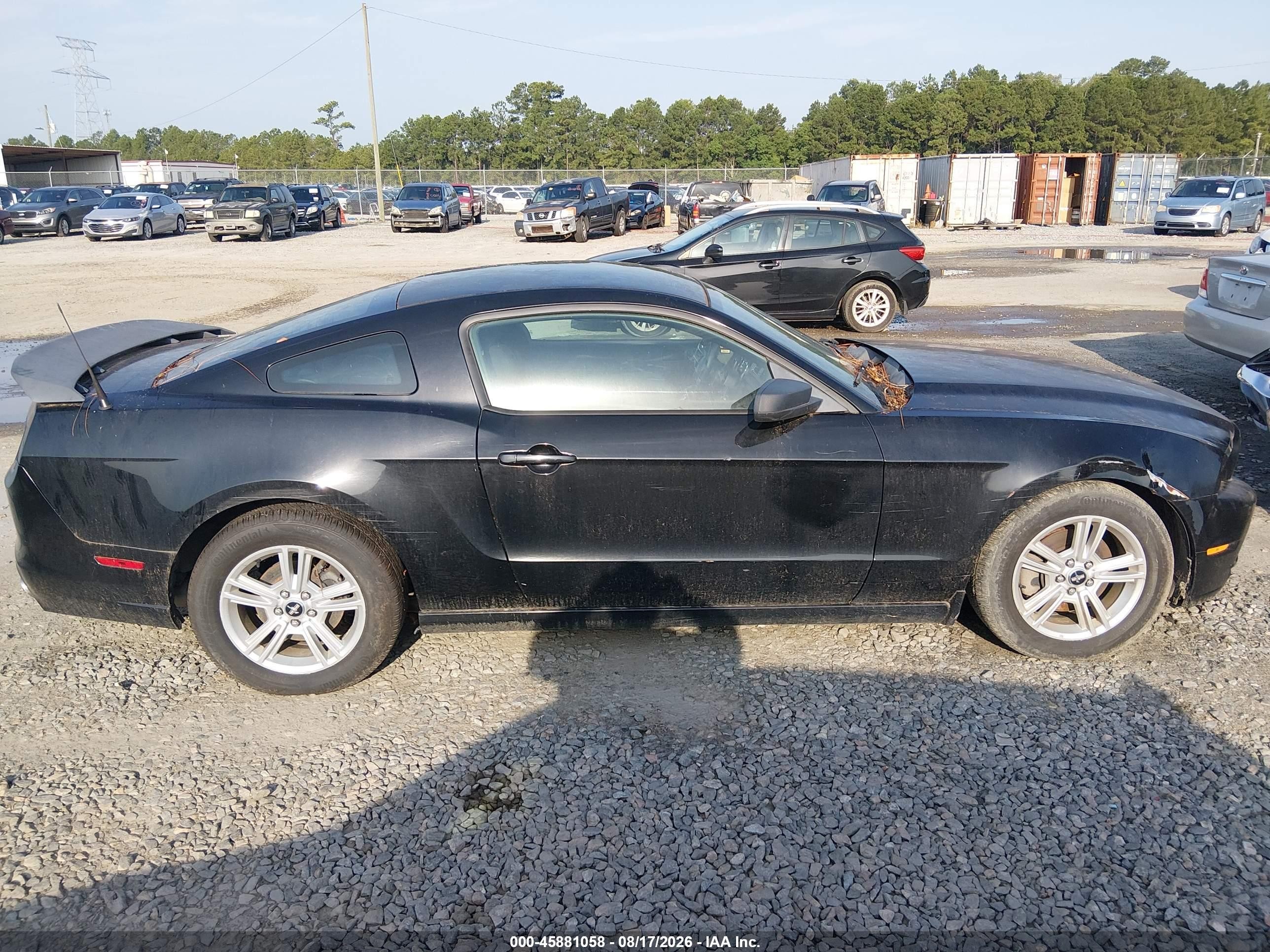 2013 Ford Mustang V6 Black vin: 1ZVBP8AM4D5241778