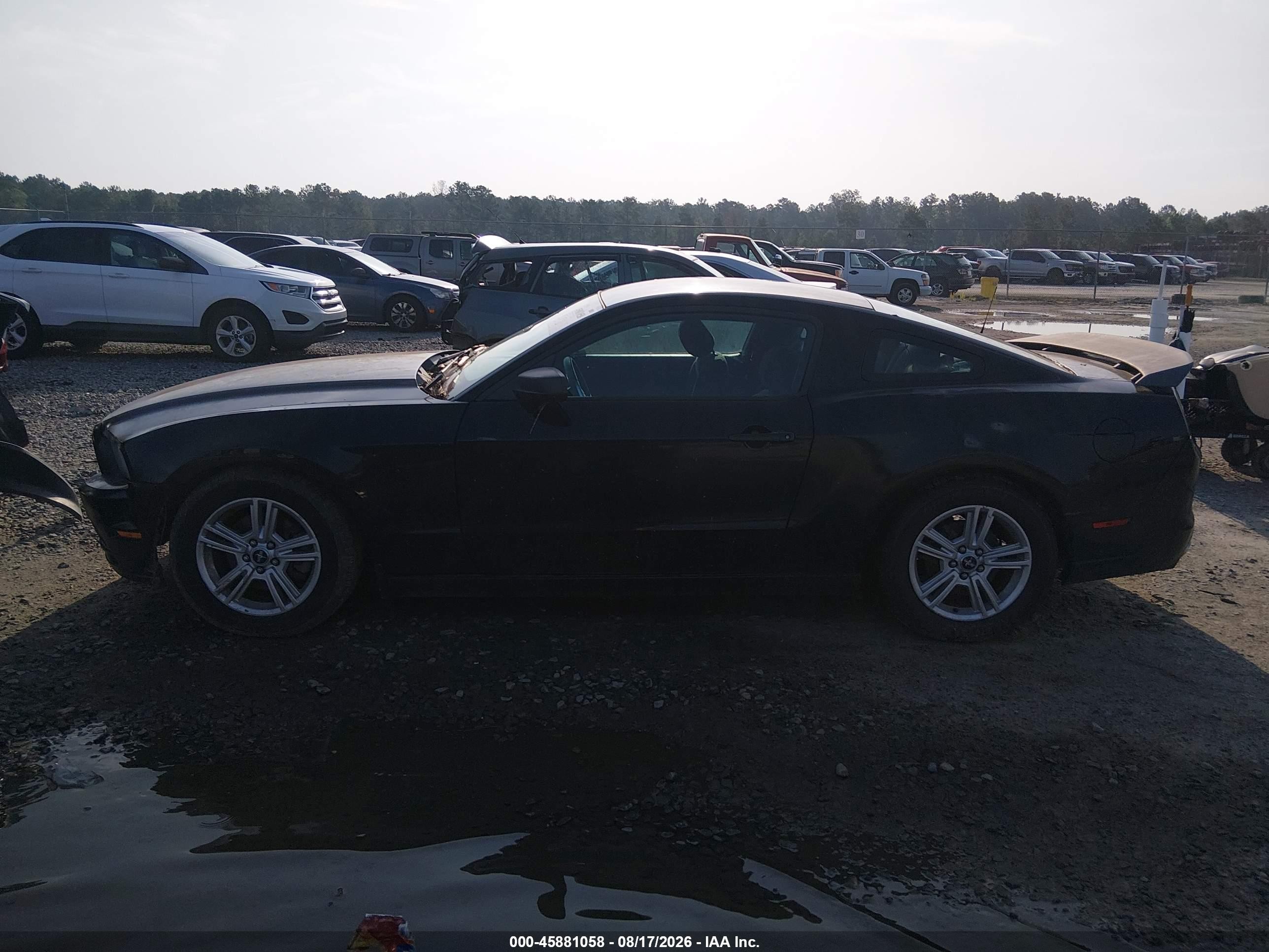 2013 Ford Mustang V6 Black vin: 1ZVBP8AM4D5241778