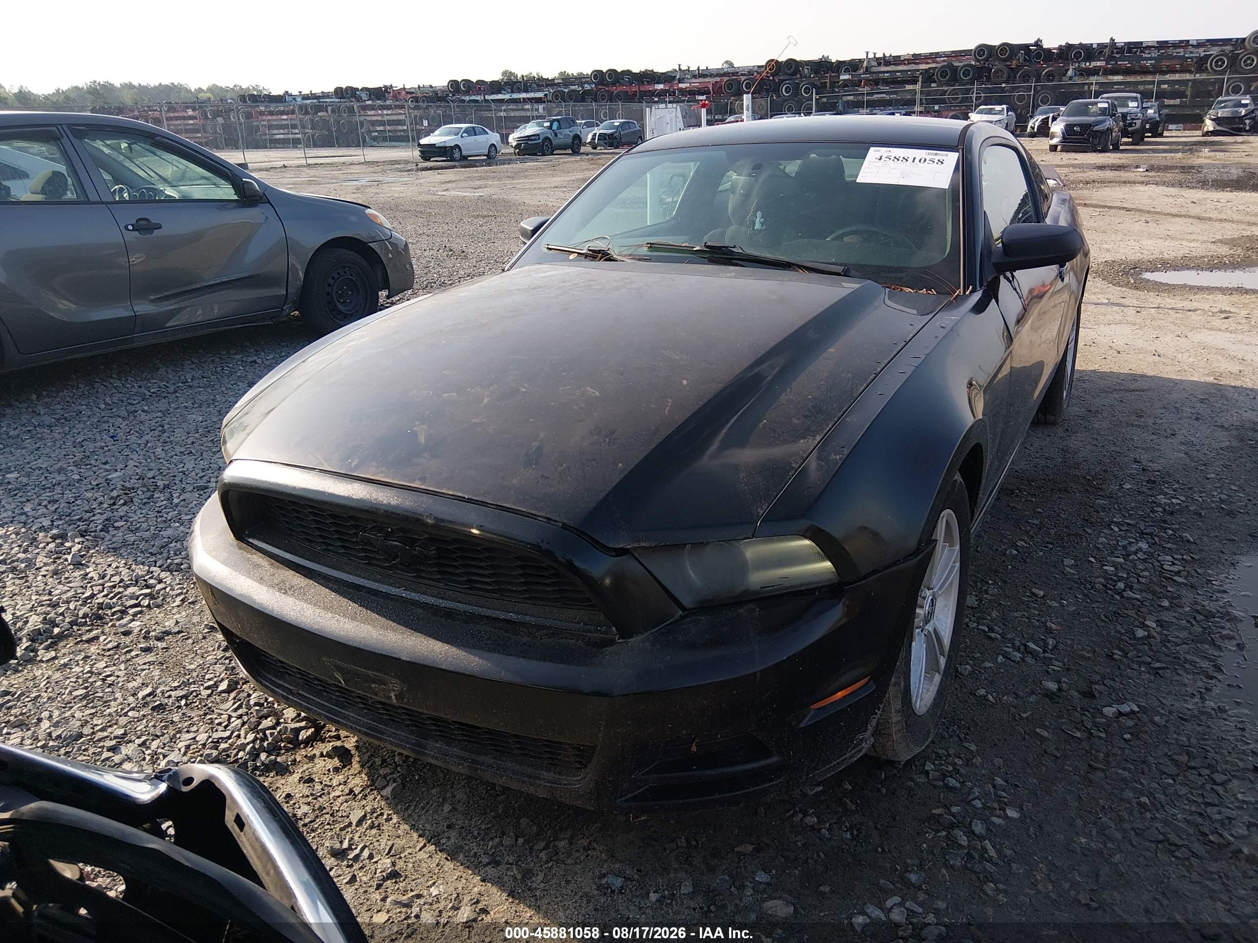2013 Ford Mustang V6 Black vin: 1ZVBP8AM4D5241778