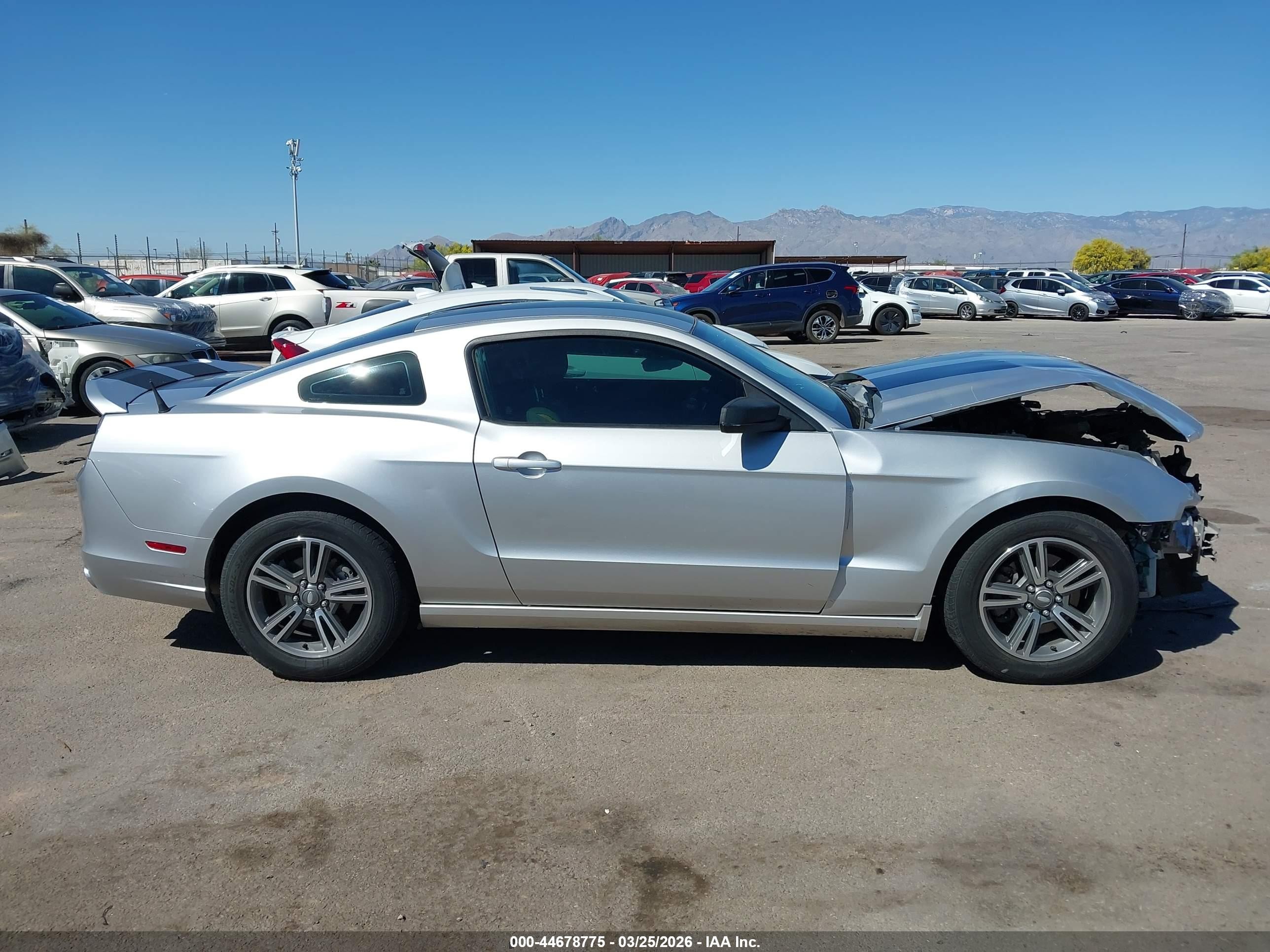 2013 Ford Mustang V6 Gray vin: 1ZVBP8AM4D5262601