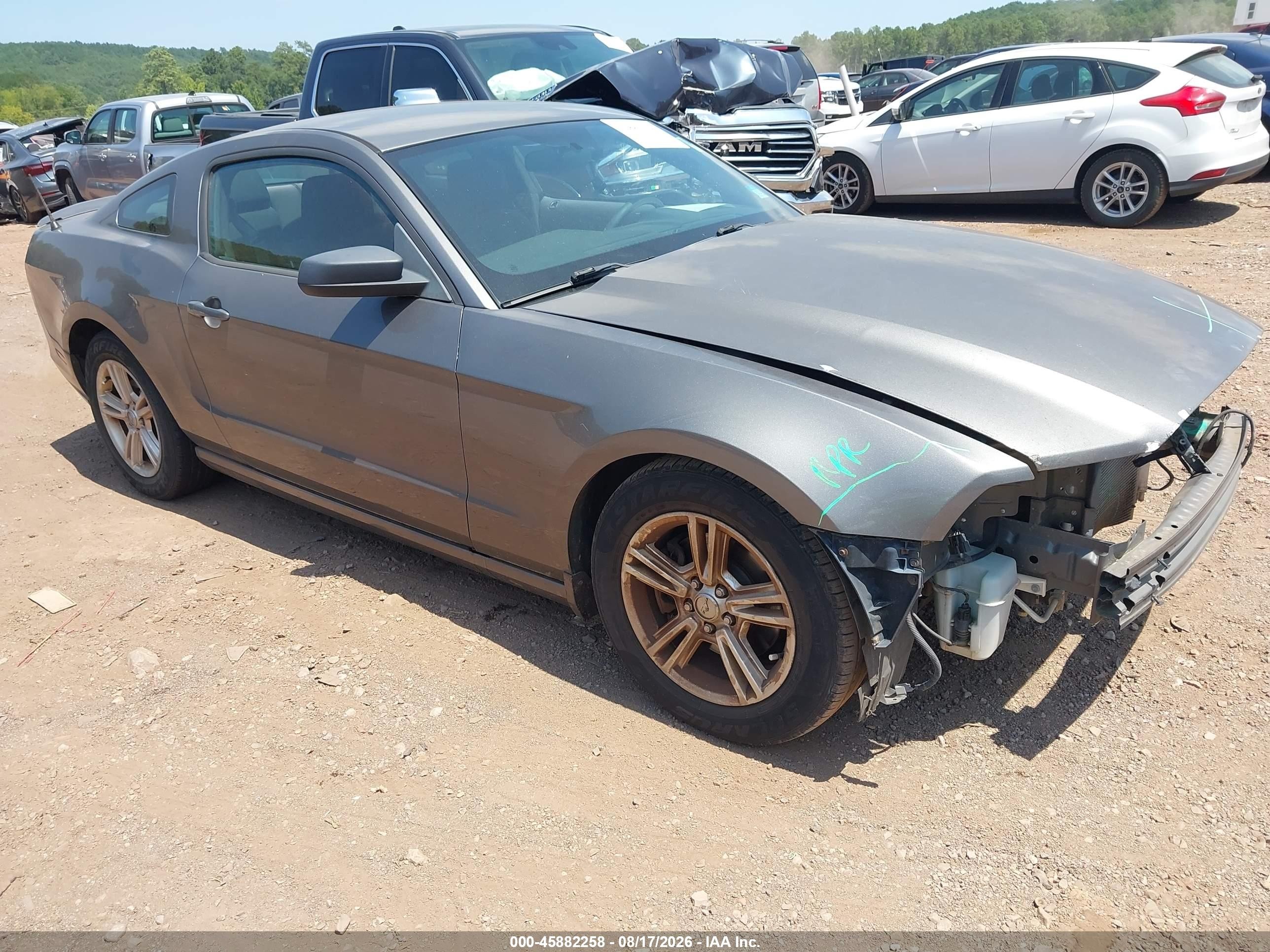 2013 Ford Mustang V6 Серый vin: 1ZVBP8AM4D5281889