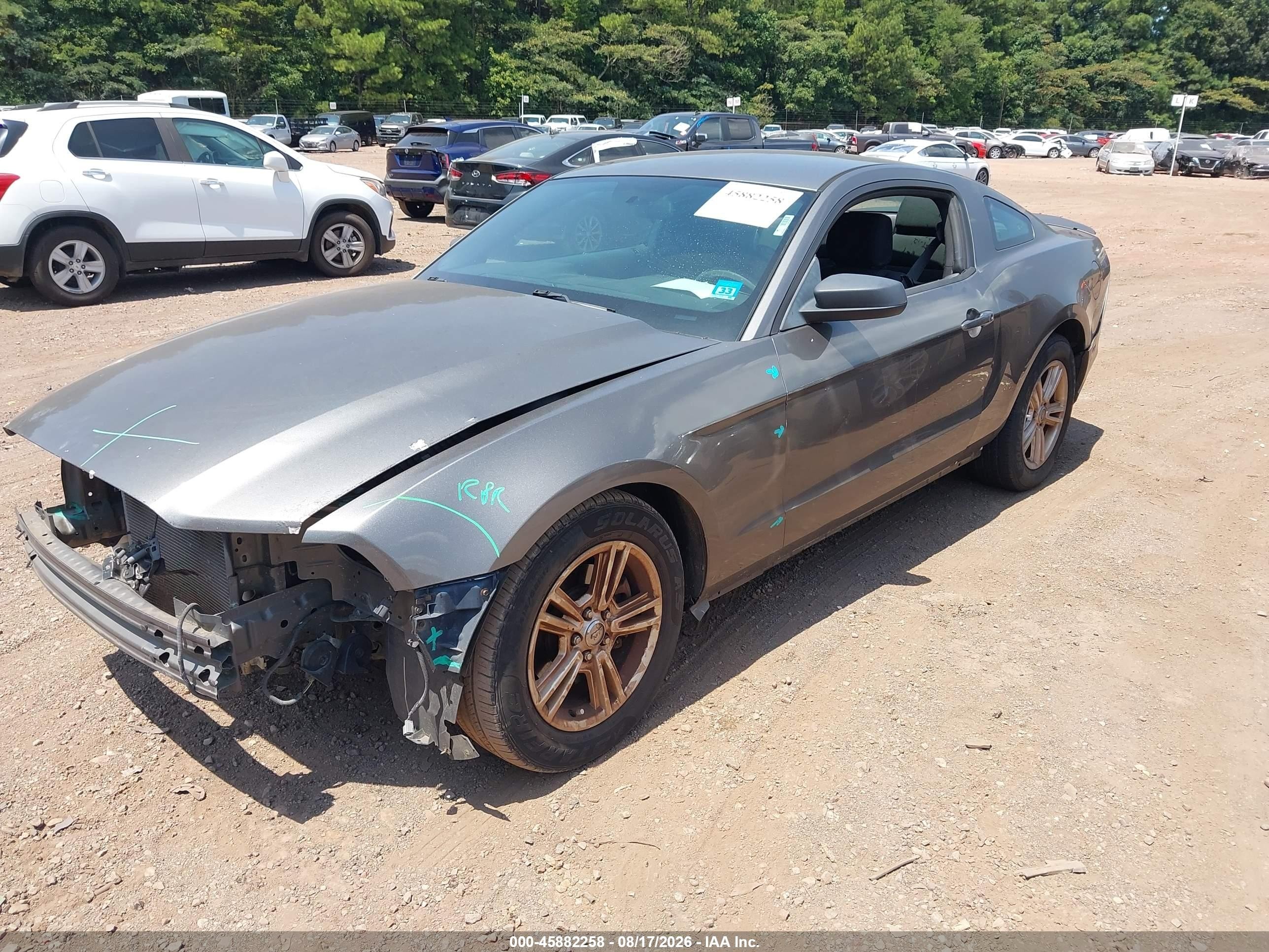 2013 Ford Mustang V6 Серый vin: 1ZVBP8AM4D5281889