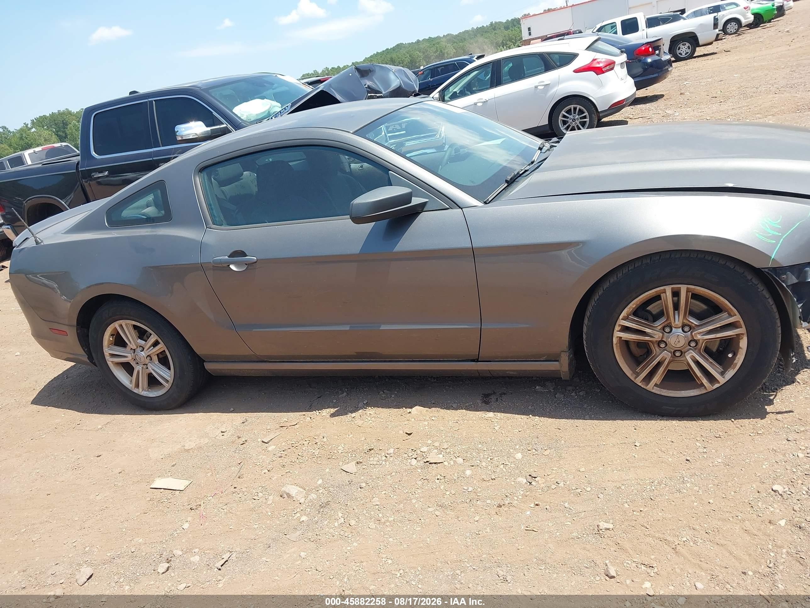 2013 Ford Mustang V6 Серый vin: 1ZVBP8AM4D5281889