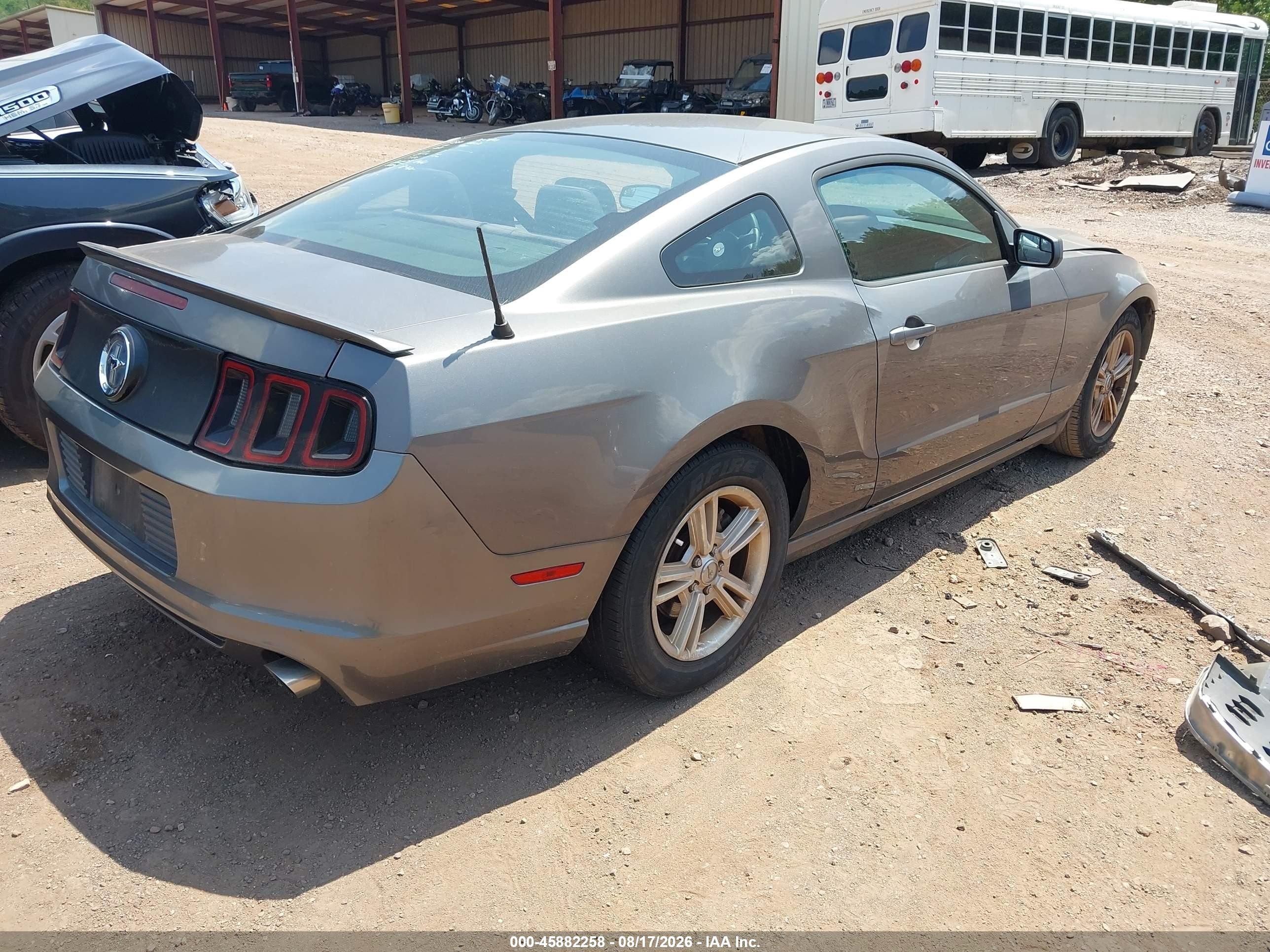 2013 Ford Mustang V6 Серый vin: 1ZVBP8AM4D5281889