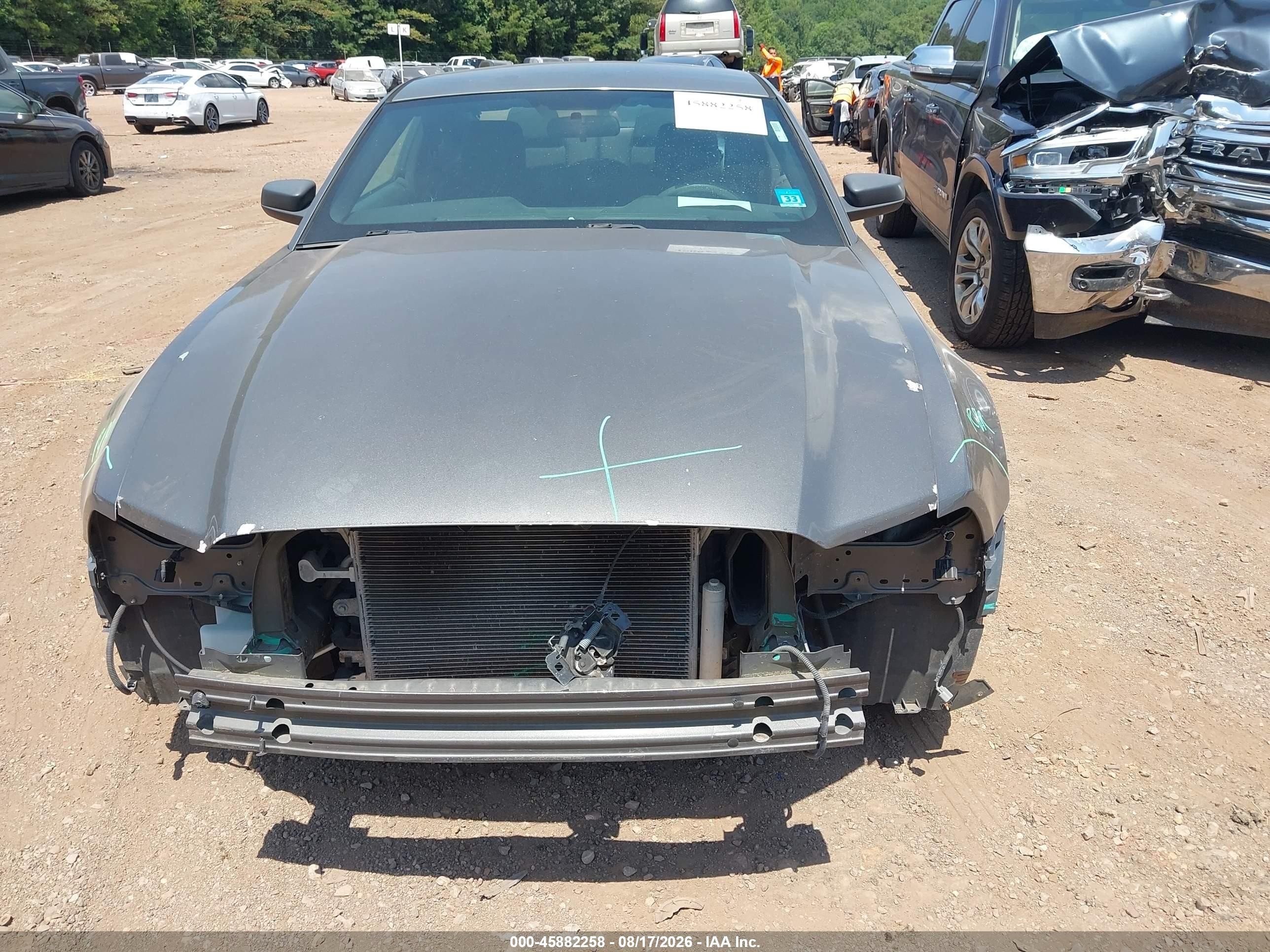 2013 Ford Mustang V6 Серый vin: 1ZVBP8AM4D5281889