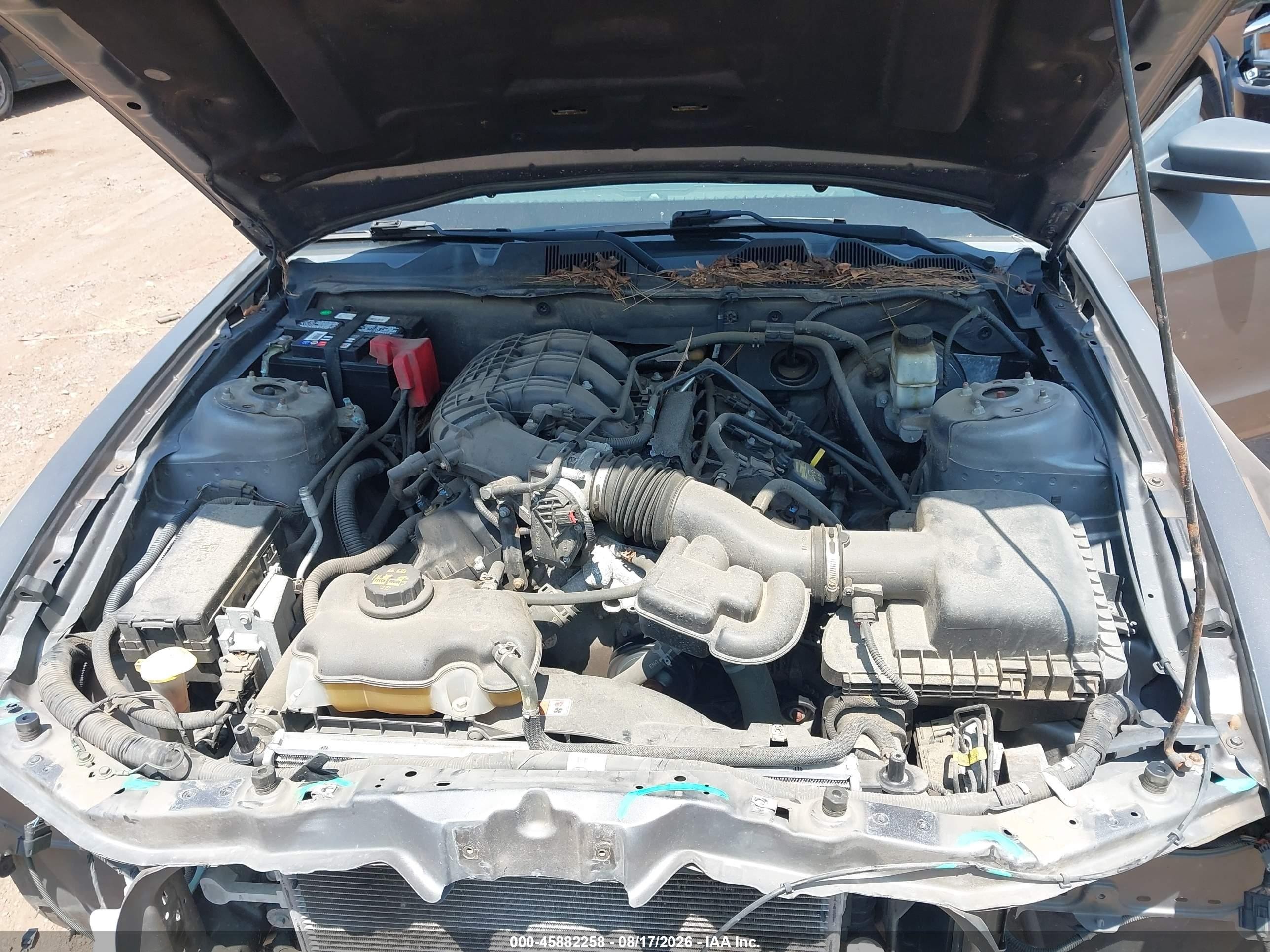 2013 Ford Mustang V6 Серый vin: 1ZVBP8AM4D5281889