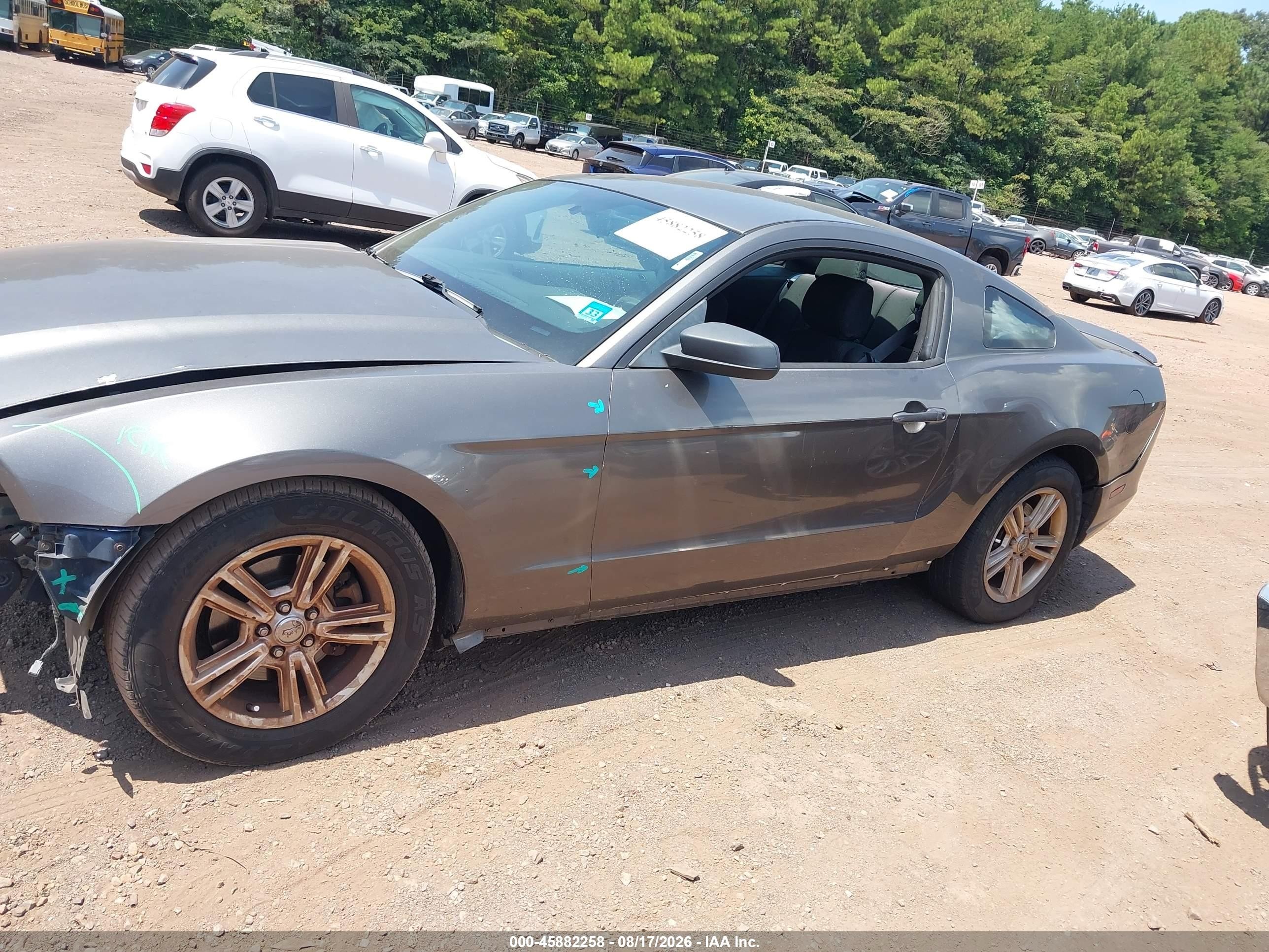 2013 Ford Mustang V6 Серый vin: 1ZVBP8AM4D5281889
