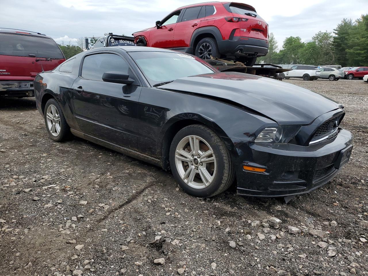 2014 Ford Mustang Черный vin: 1ZVBP8AM4E5200441