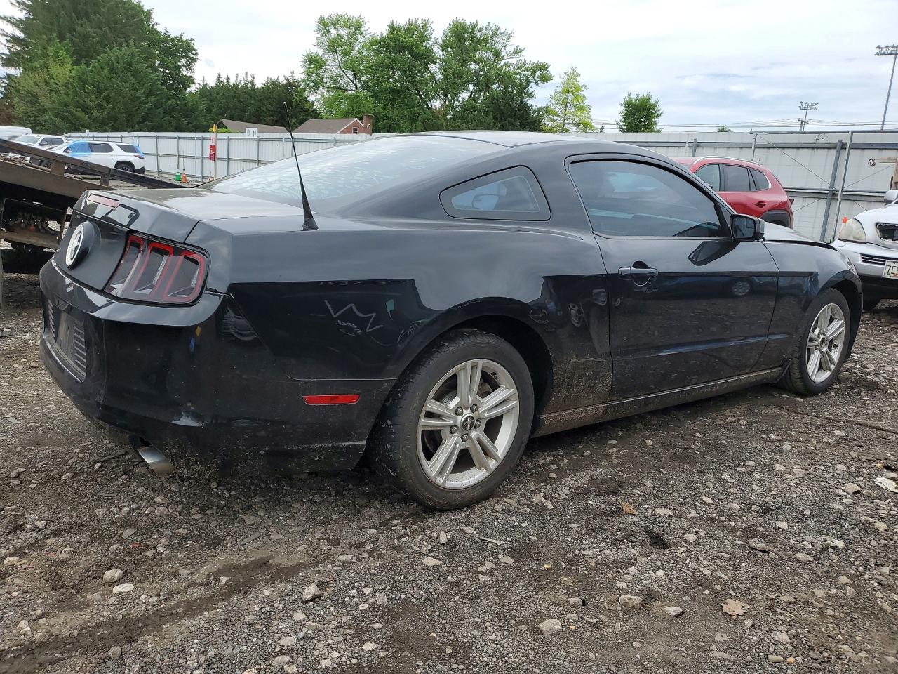 2014 Ford Mustang Черный vin: 1ZVBP8AM4E5200441