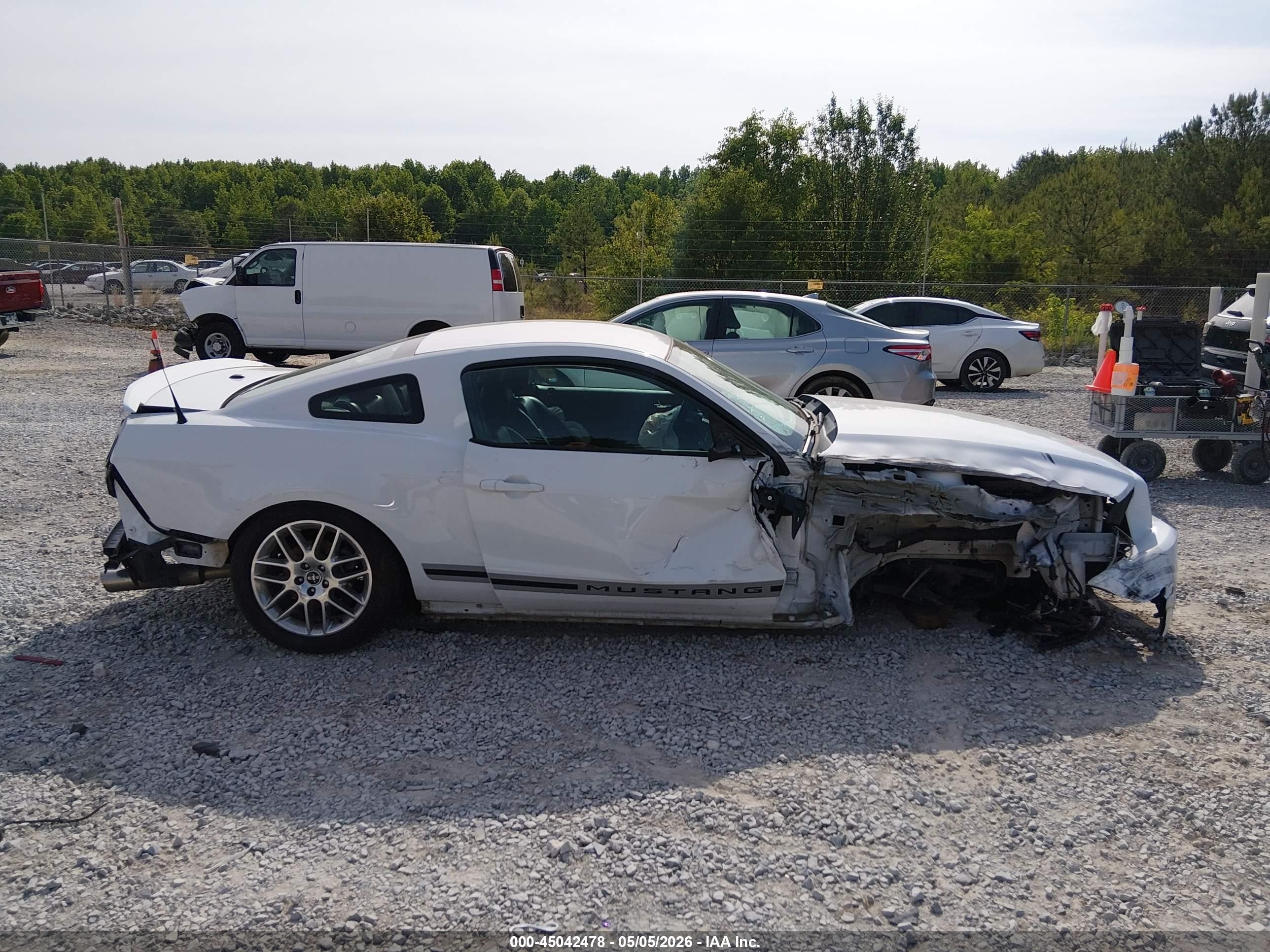 2014 Ford Mustang V6 Premium White vin: 1ZVBP8AM4E5258842