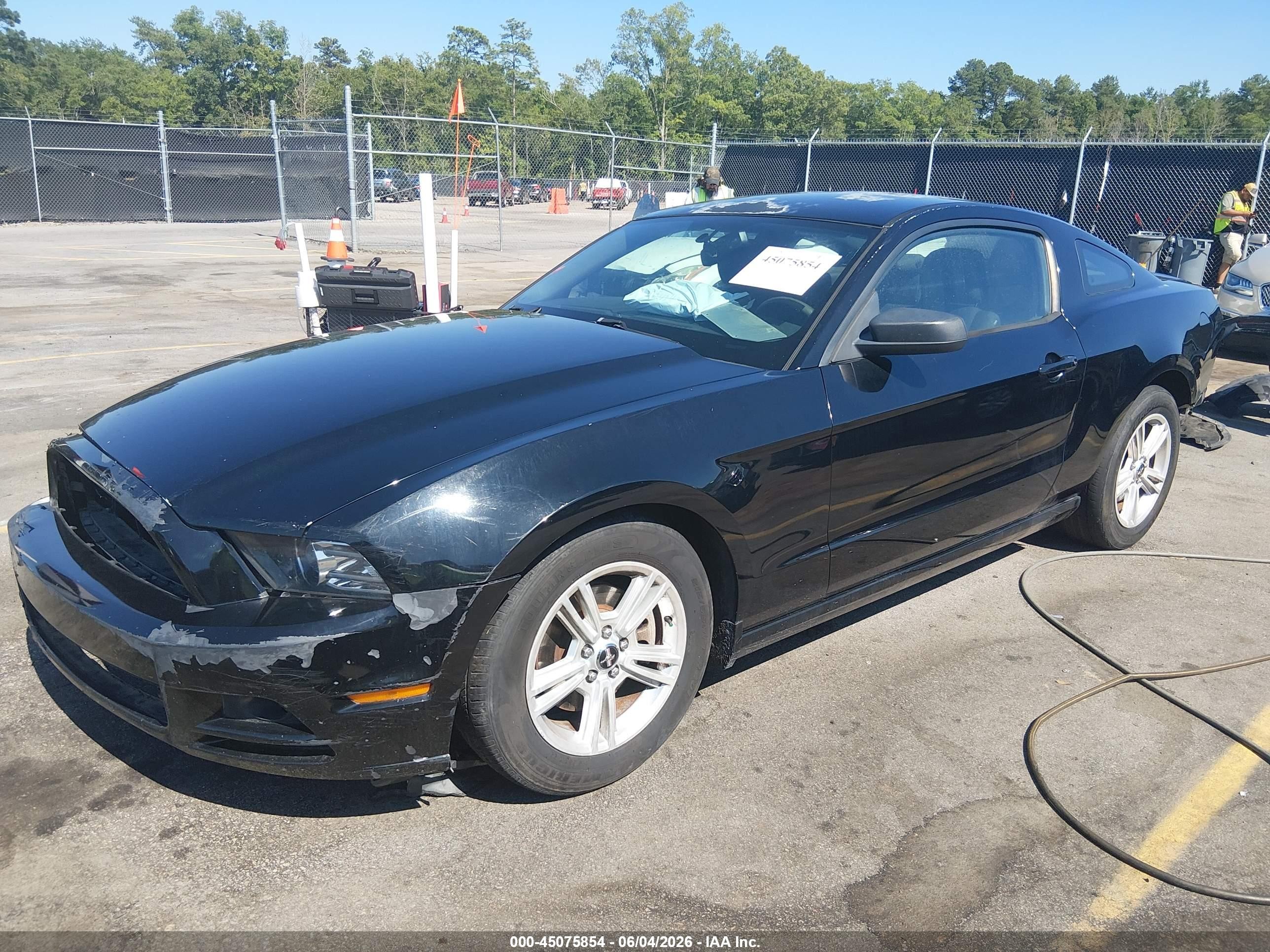 2014 Ford Mustang V6 Черный vin: 1ZVBP8AM4E5266259