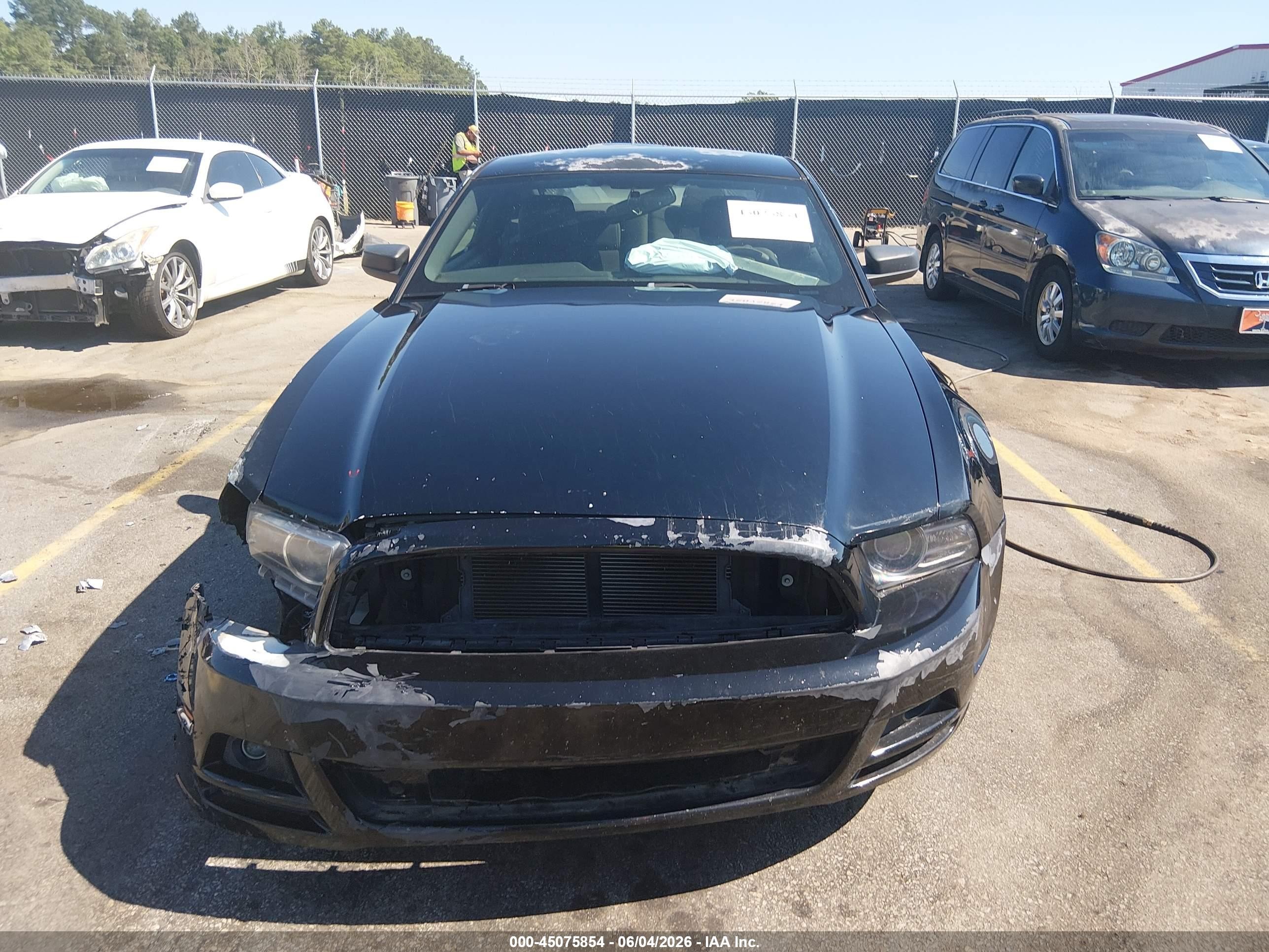 2014 Ford Mustang V6 Черный vin: 1ZVBP8AM4E5266259
