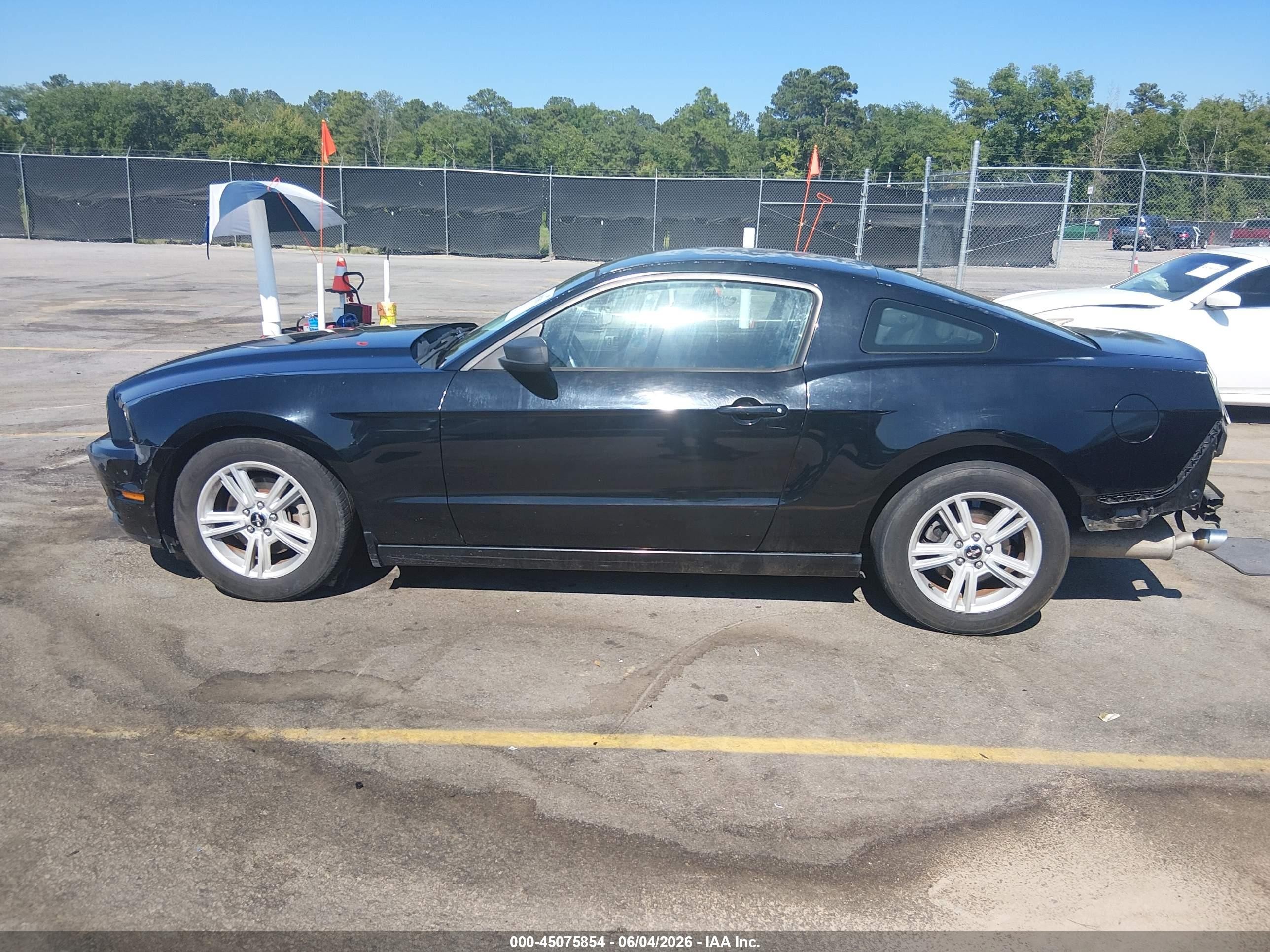 2014 Ford Mustang V6 Черный vin: 1ZVBP8AM4E5266259