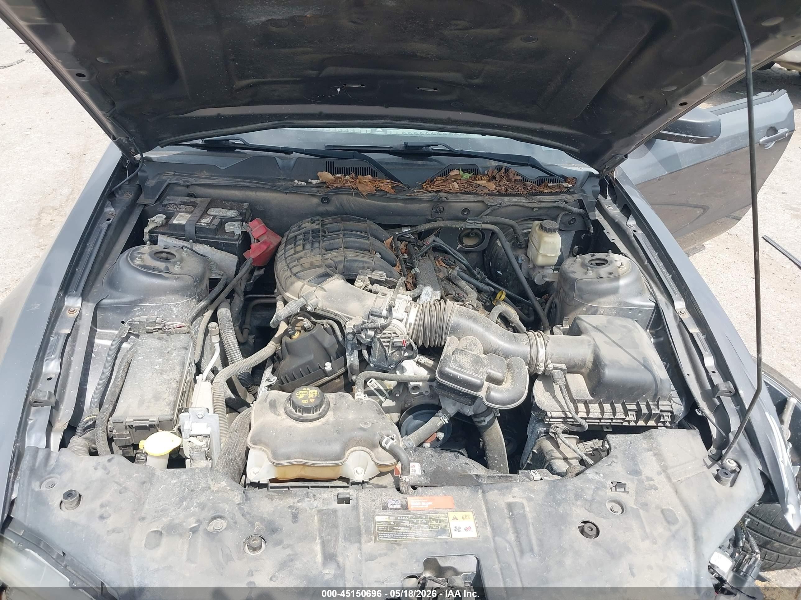 2014 Ford Mustang V6 Серый vin: 1ZVBP8AM4E5309658