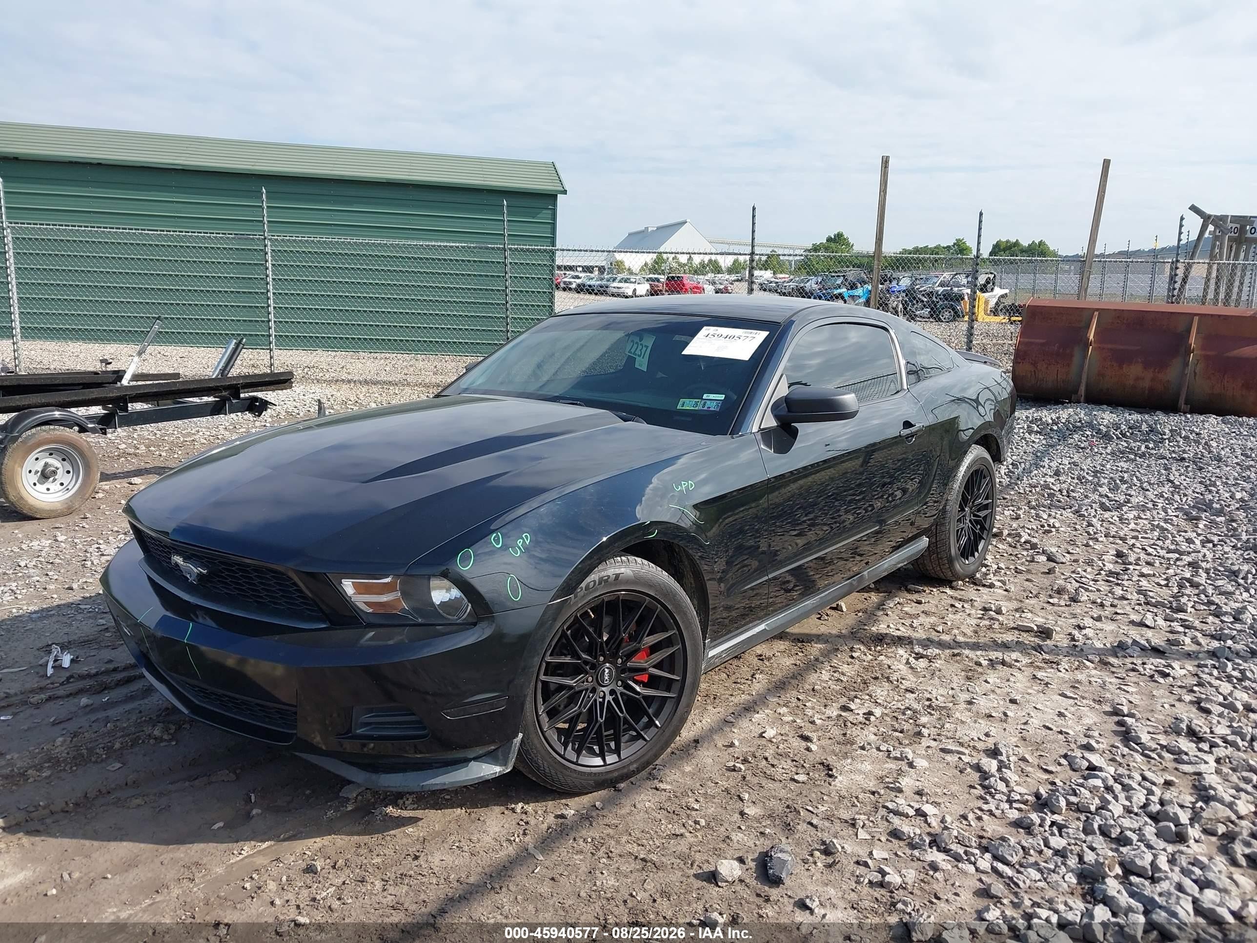 2012 Ford Mustang V6 Black vin: 1ZVBP8AM5C5204706