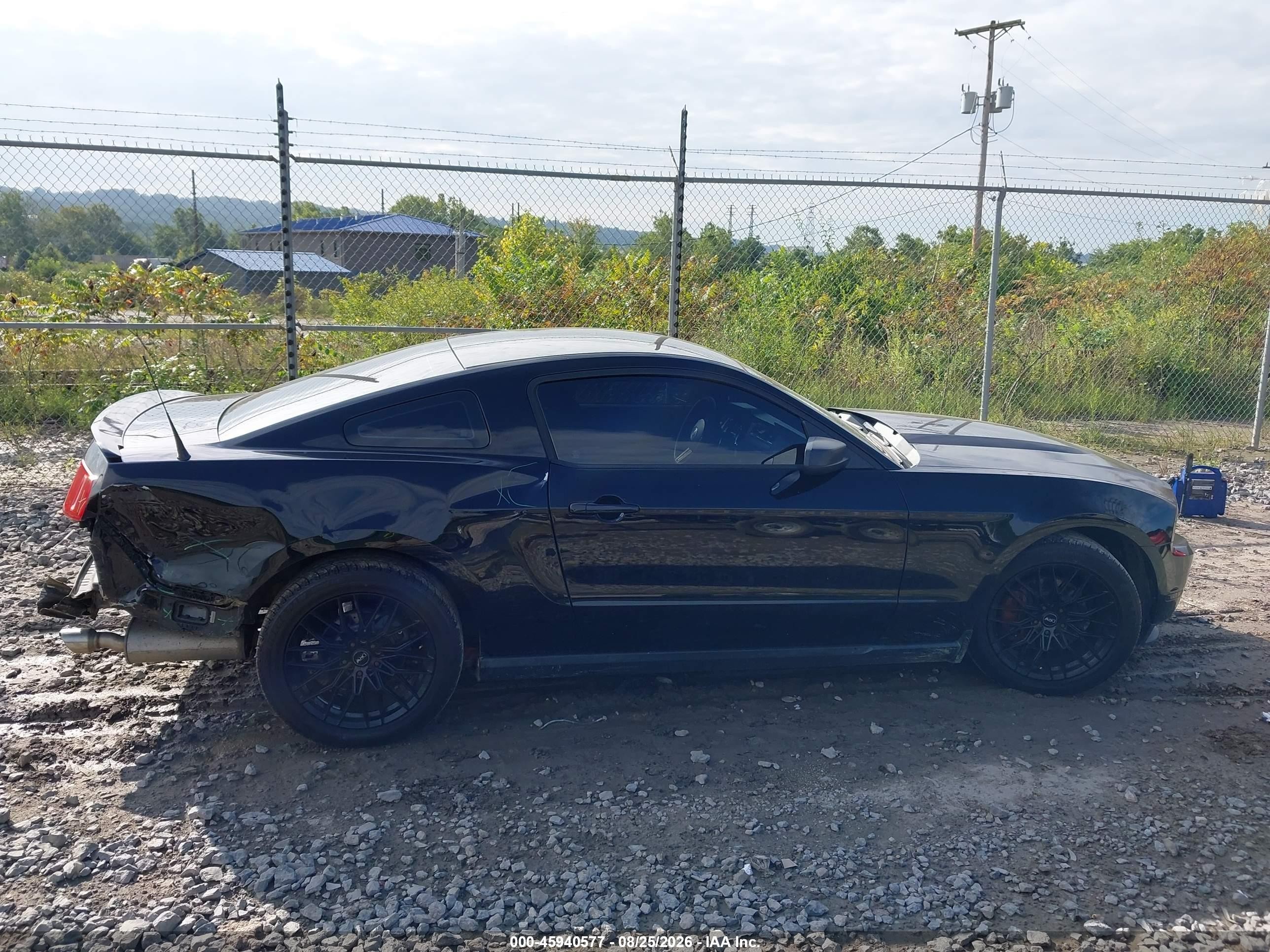 2012 Ford Mustang V6 Black vin: 1ZVBP8AM5C5204706