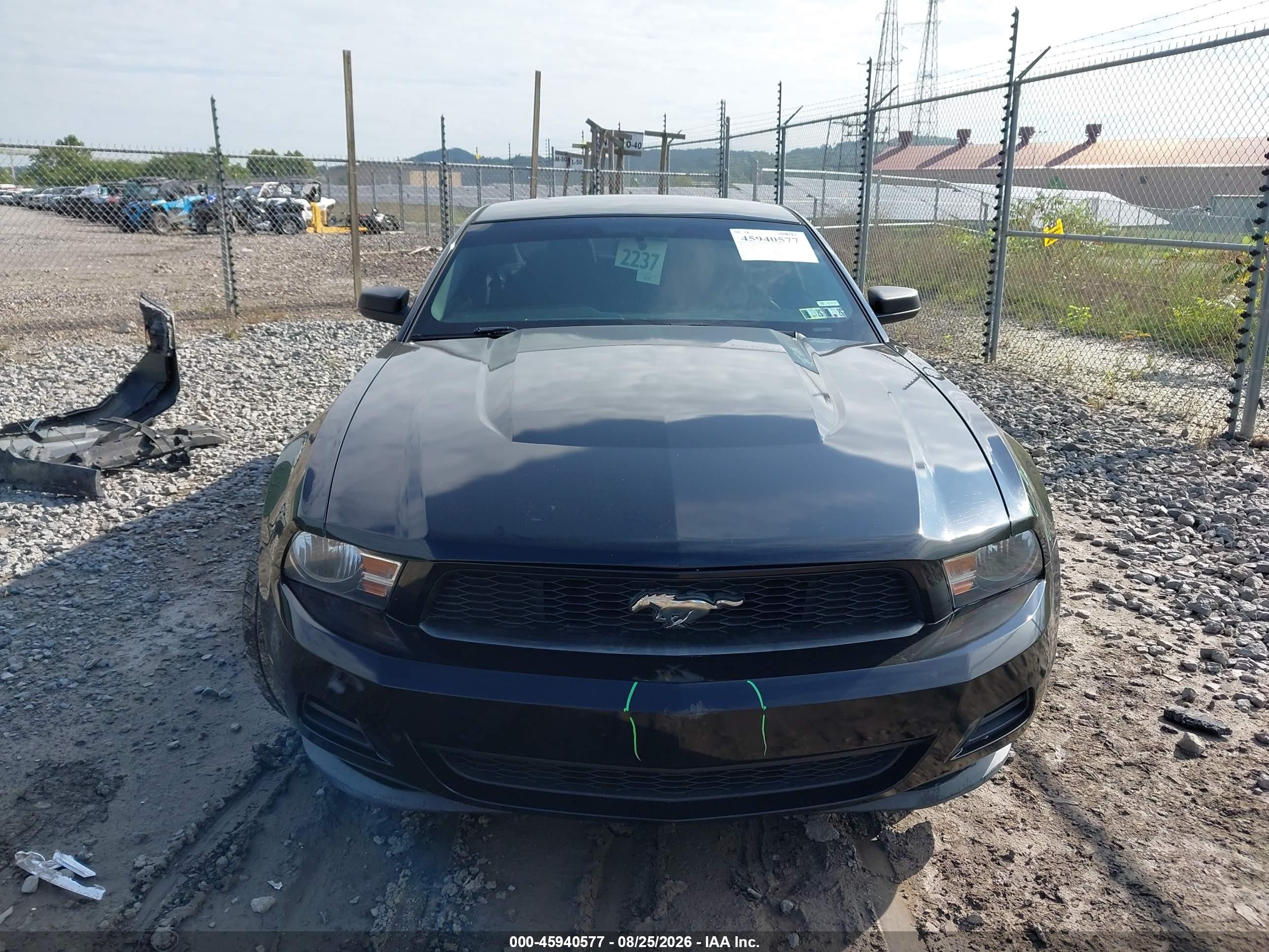 2012 Ford Mustang V6 Black vin: 1ZVBP8AM5C5204706