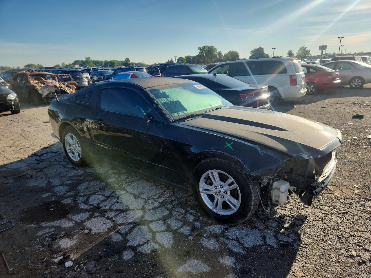 2012 Ford Mustang Black vin: 1ZVBP8AM5C5221991