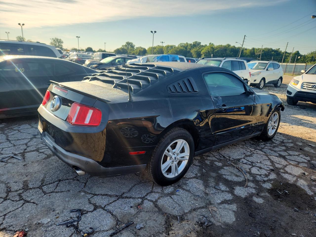 2012 Ford Mustang Black vin: 1ZVBP8AM5C5221991