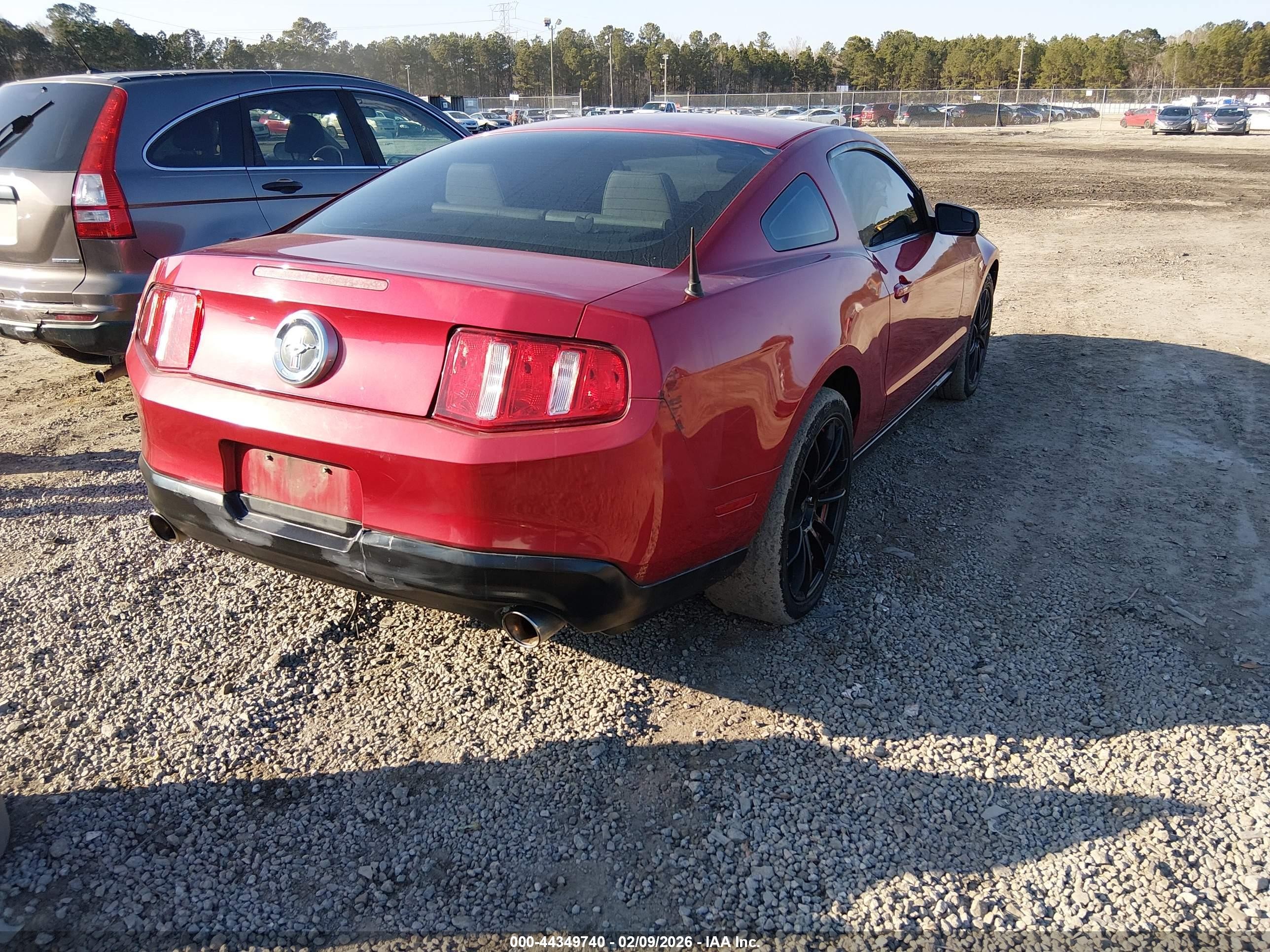 2012 Ford Mustang V6 Red vin: 1ZVBP8AM5C5222123