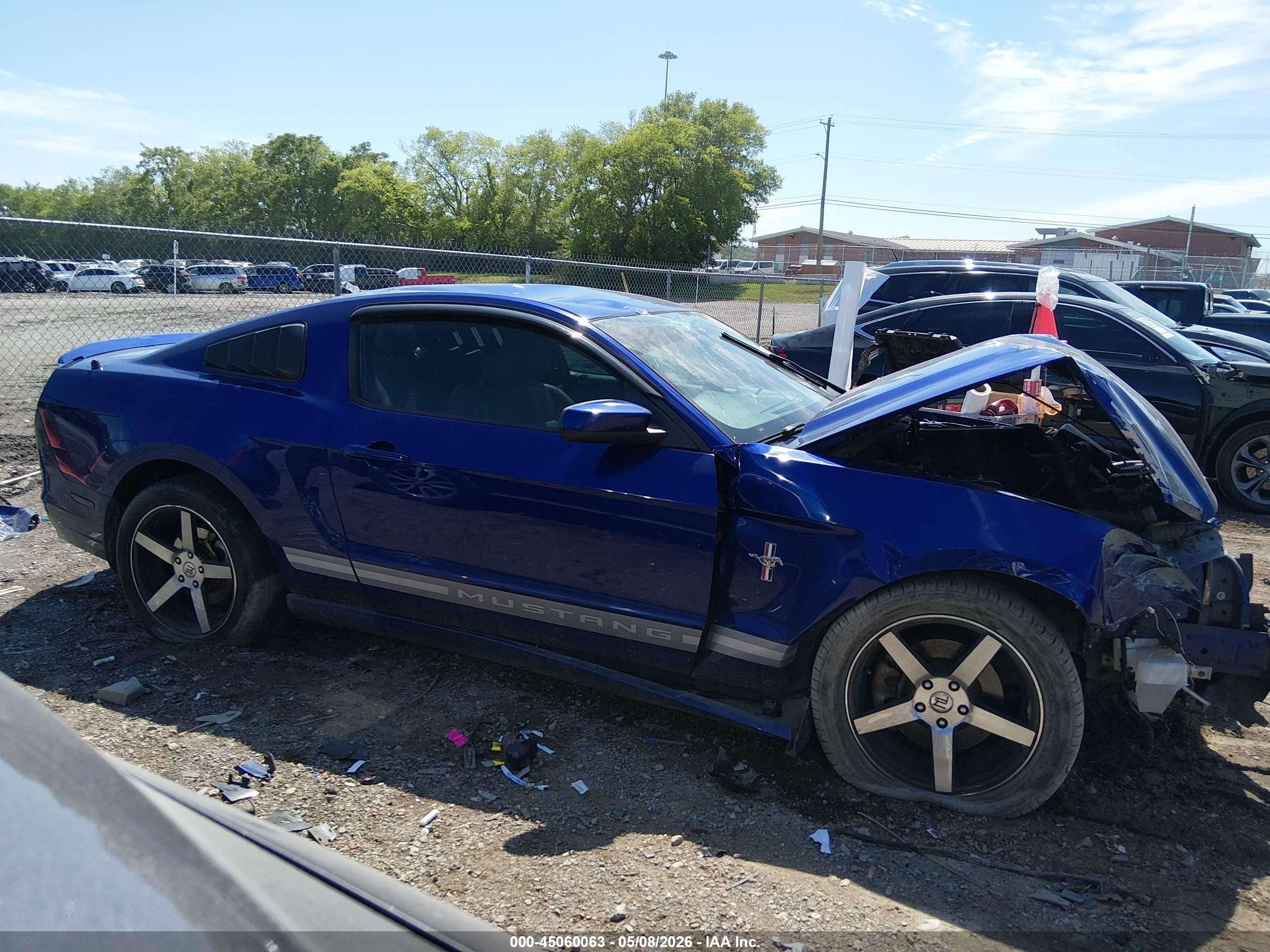 2013 Ford Mustang V6 Premium Синий vin: 1ZVBP8AM5D5215058