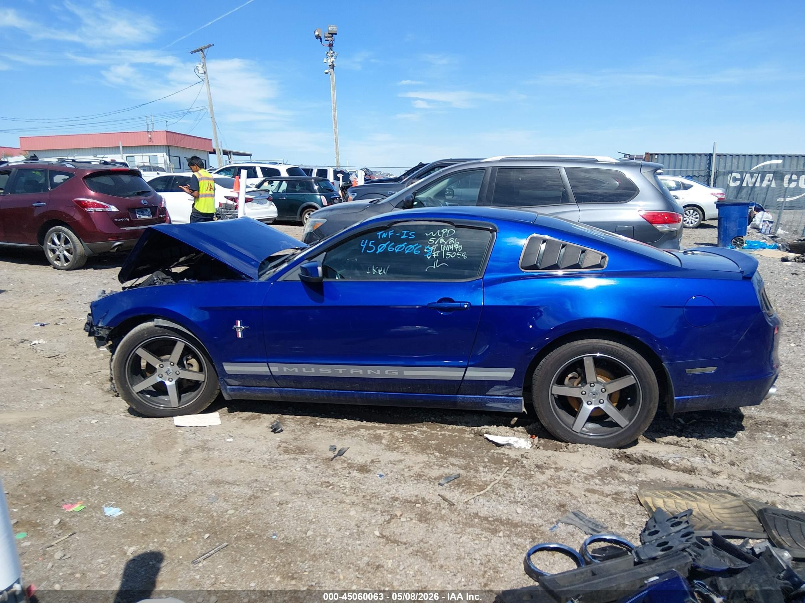 2013 Ford Mustang V6 Premium Синий vin: 1ZVBP8AM5D5215058