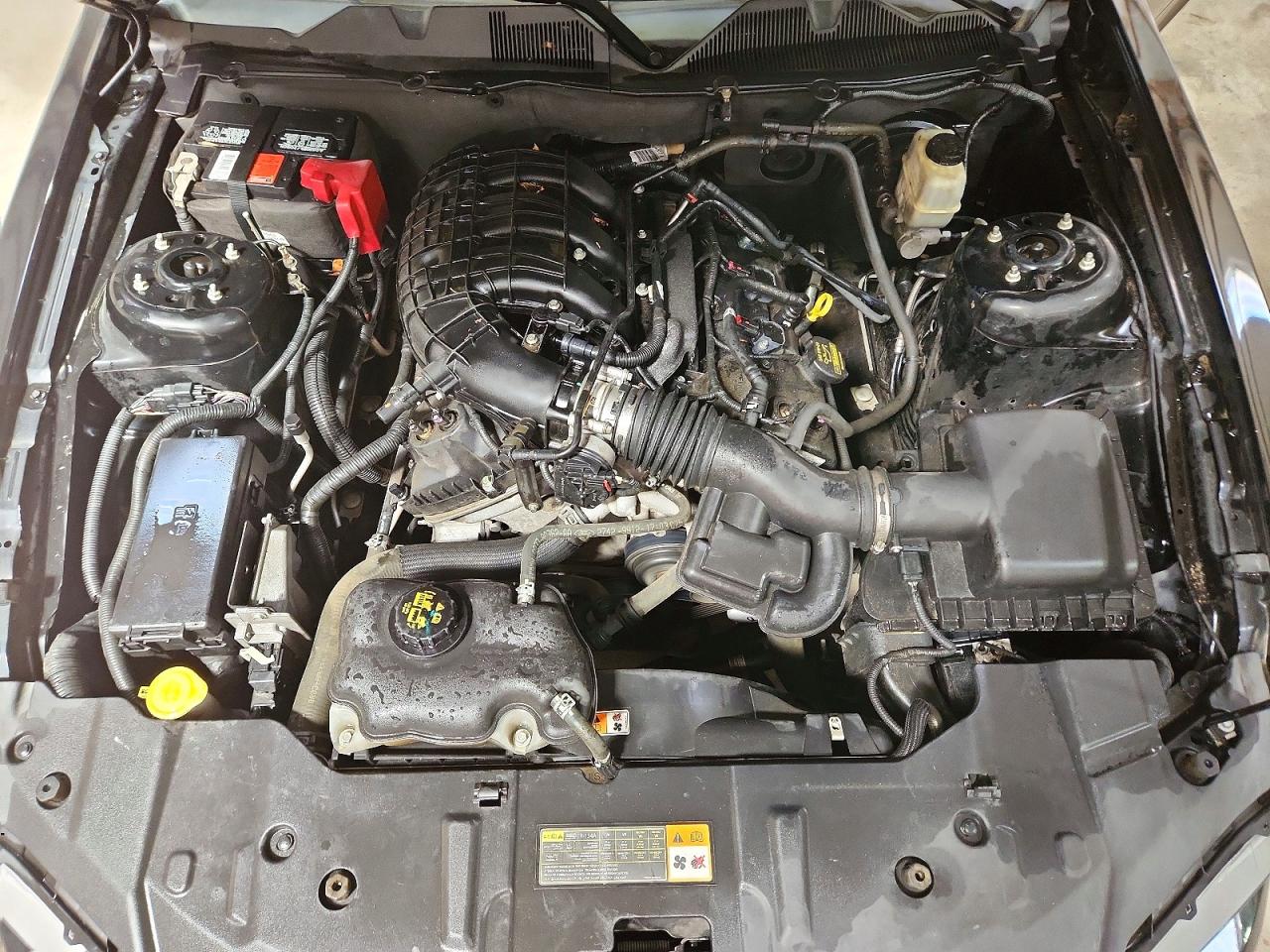 2013 Ford Mustang Черный vin: 1ZVBP8AM5D5268150