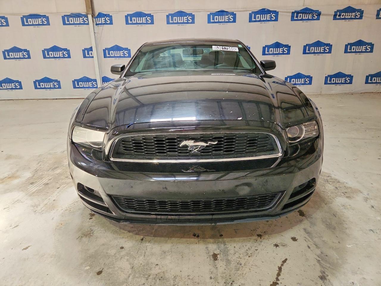 2013 Ford Mustang Черный vin: 1ZVBP8AM5D5268150