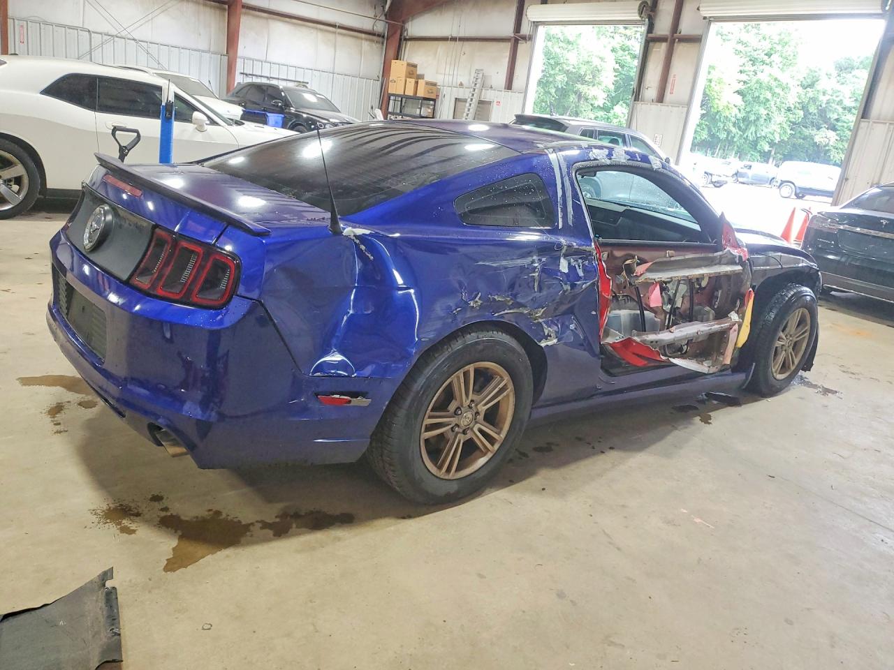 2013 Ford Mustang Blue vin: 1ZVBP8AM5D5268827