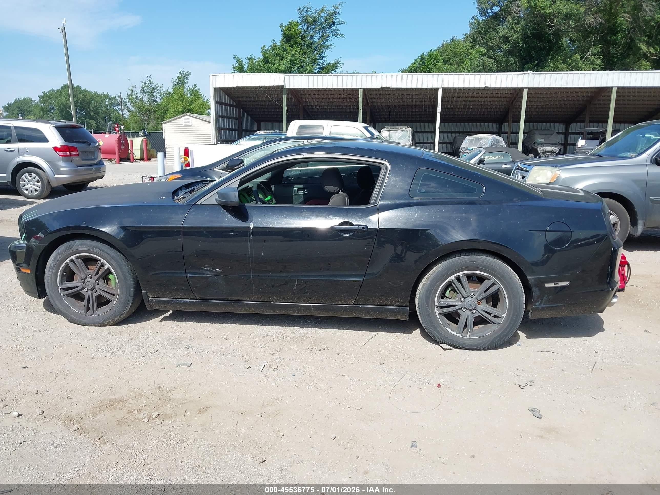 2014 Ford Mustang V6/v6 Premium Black vin: 1ZVBP8AM5E5204353