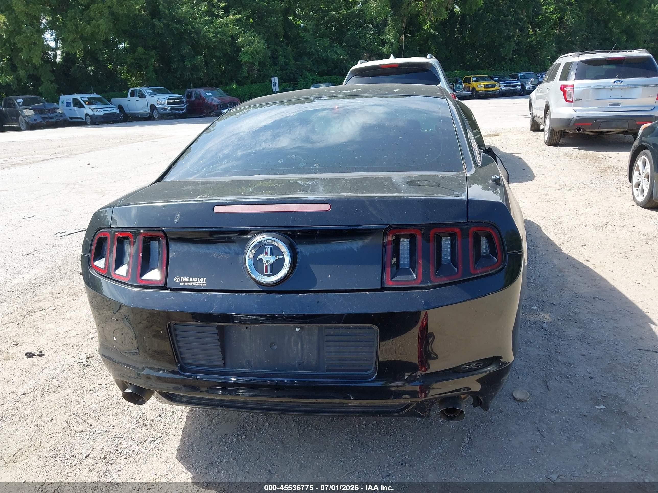 2014 Ford Mustang V6/v6 Premium Black vin: 1ZVBP8AM5E5204353