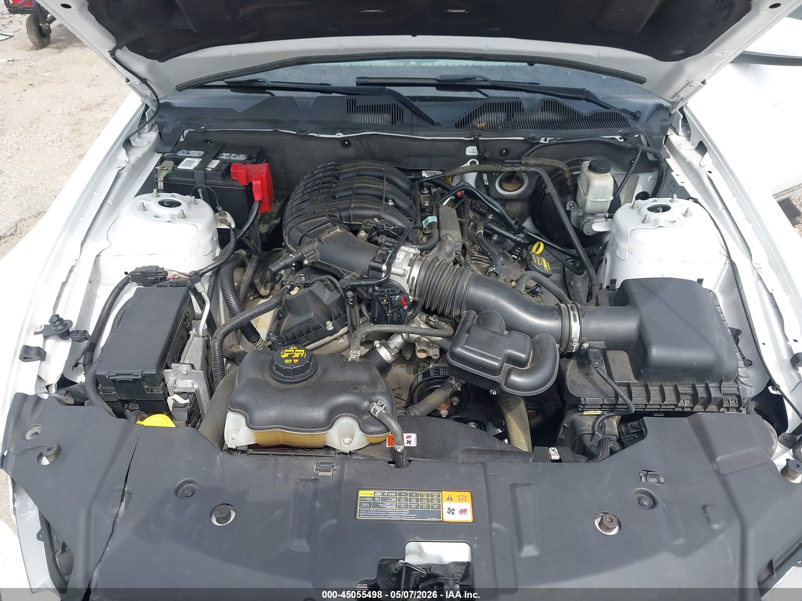 2014 Ford Mustang V6 Premium Белый vin: 1ZVBP8AM5E5263905