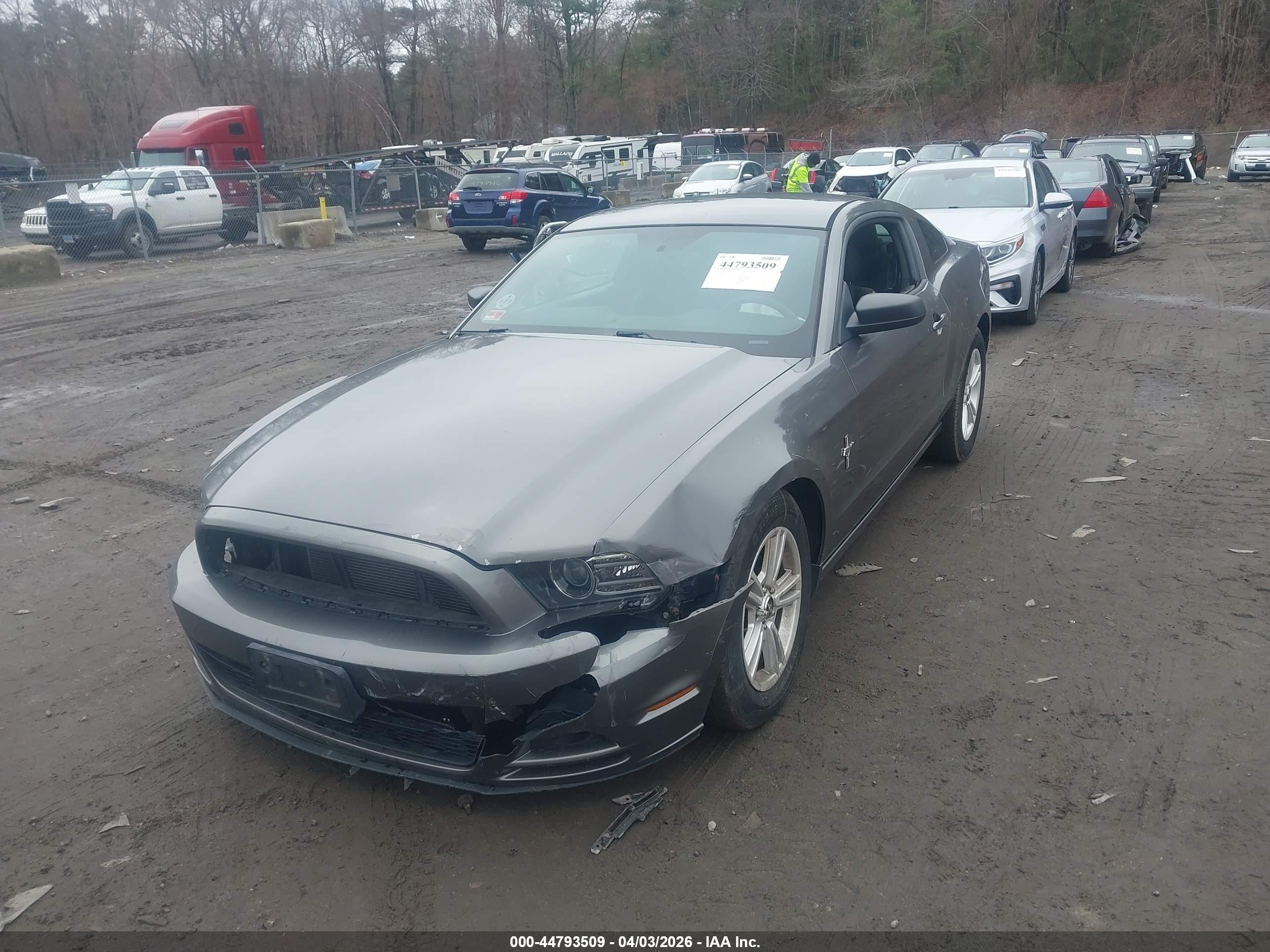 2014 Ford Mustang V6 Gray vin: 1ZVBP8AM5E5276170
