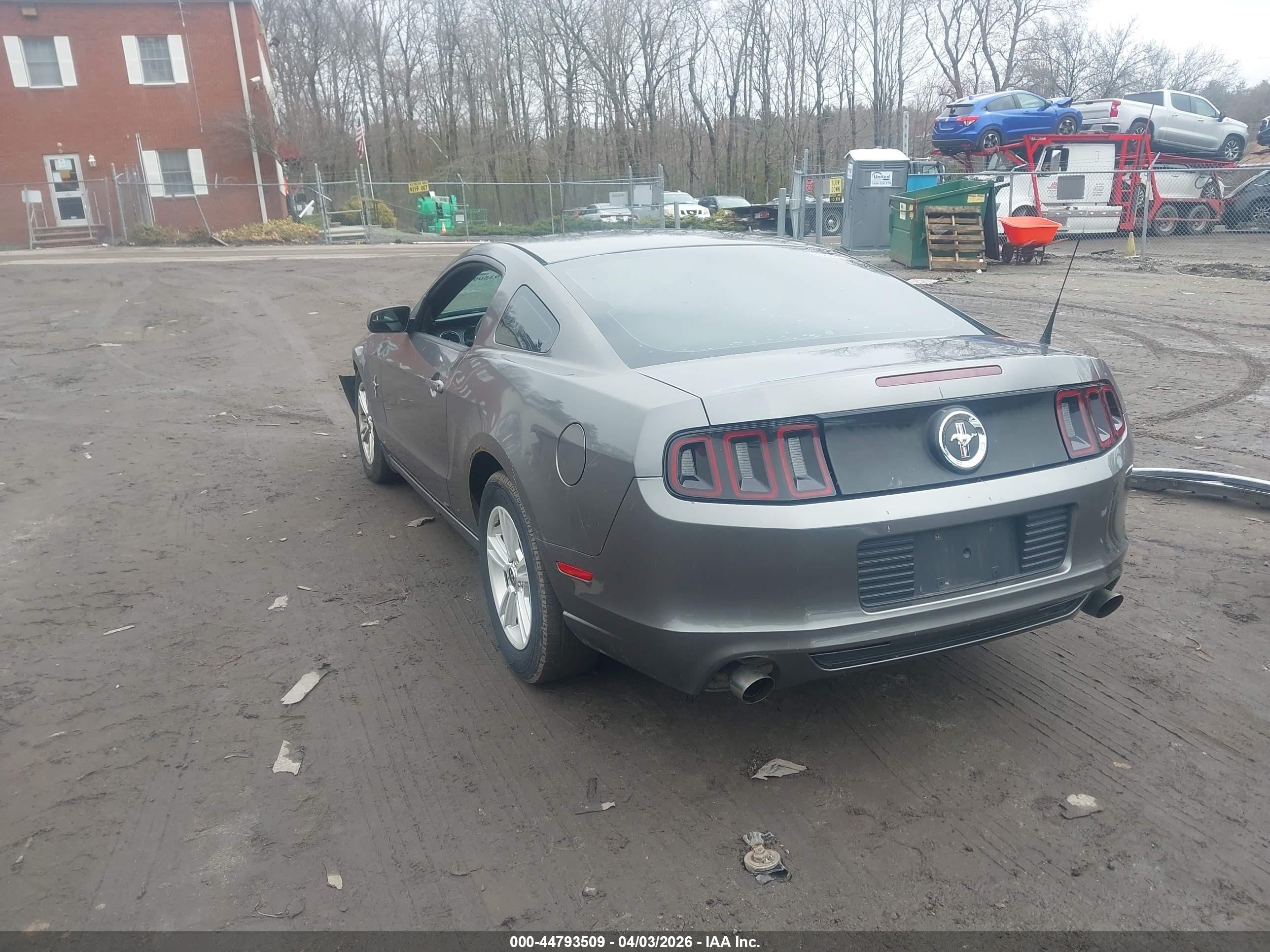 2014 Ford Mustang V6 Gray vin: 1ZVBP8AM5E5276170
