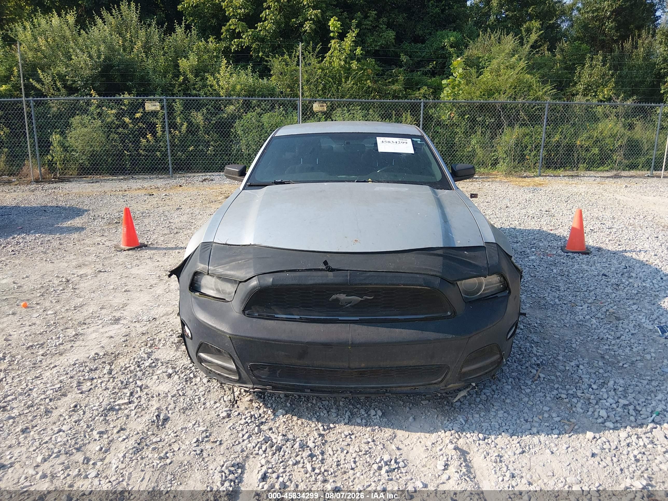 2014 Ford Mustang V6 Silver vin: 1ZVBP8AM5E5276346