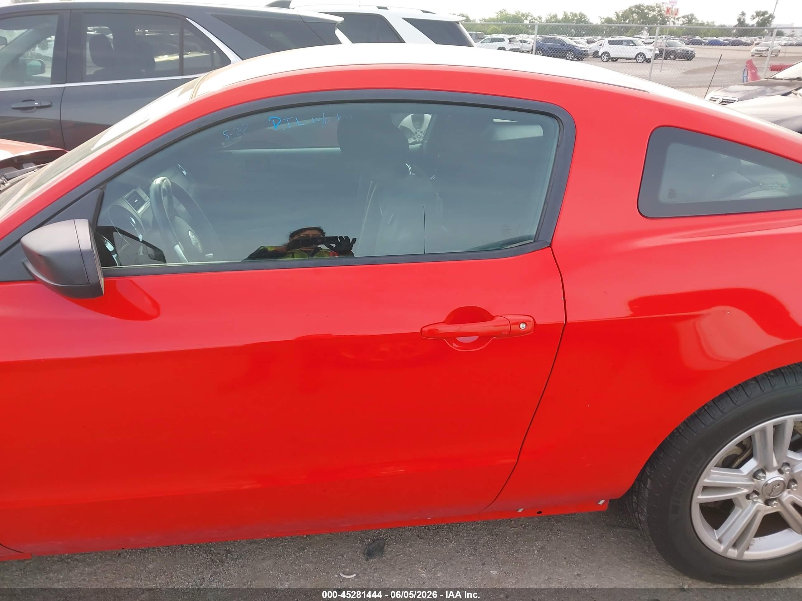 2014 Ford Mustang V6 Красный vin: 1ZVBP8AM5E5301553