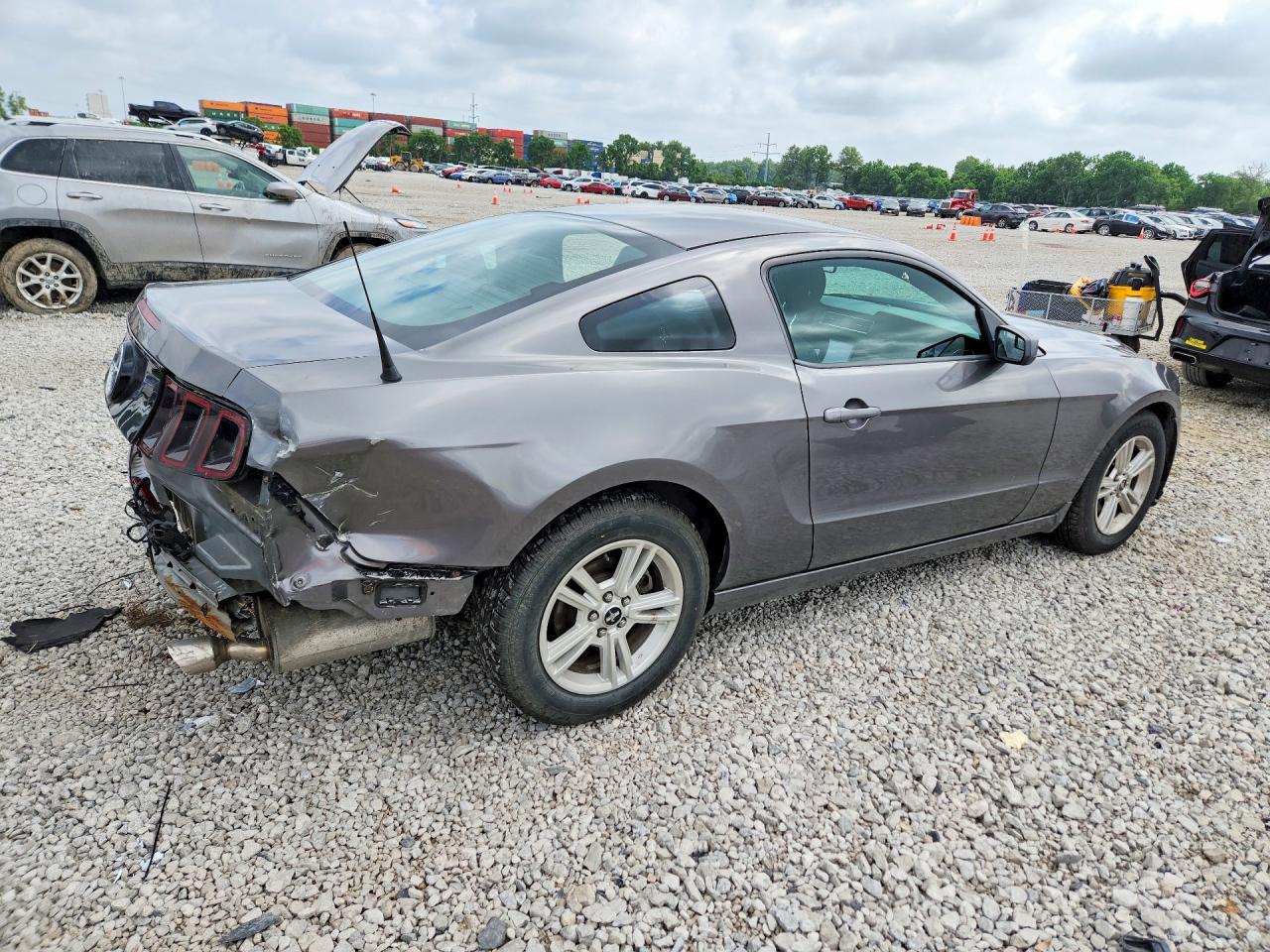 2014 Ford Mustang Gray vin: 1ZVBP8AM5E5302282