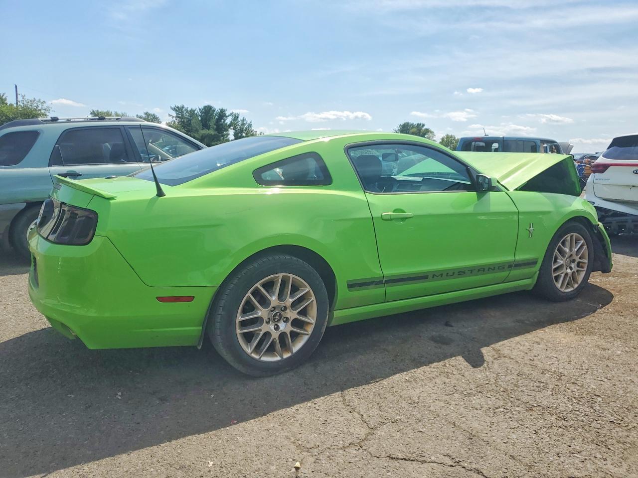 2014 Ford Mustang Green vin: 1ZVBP8AM5E5318224