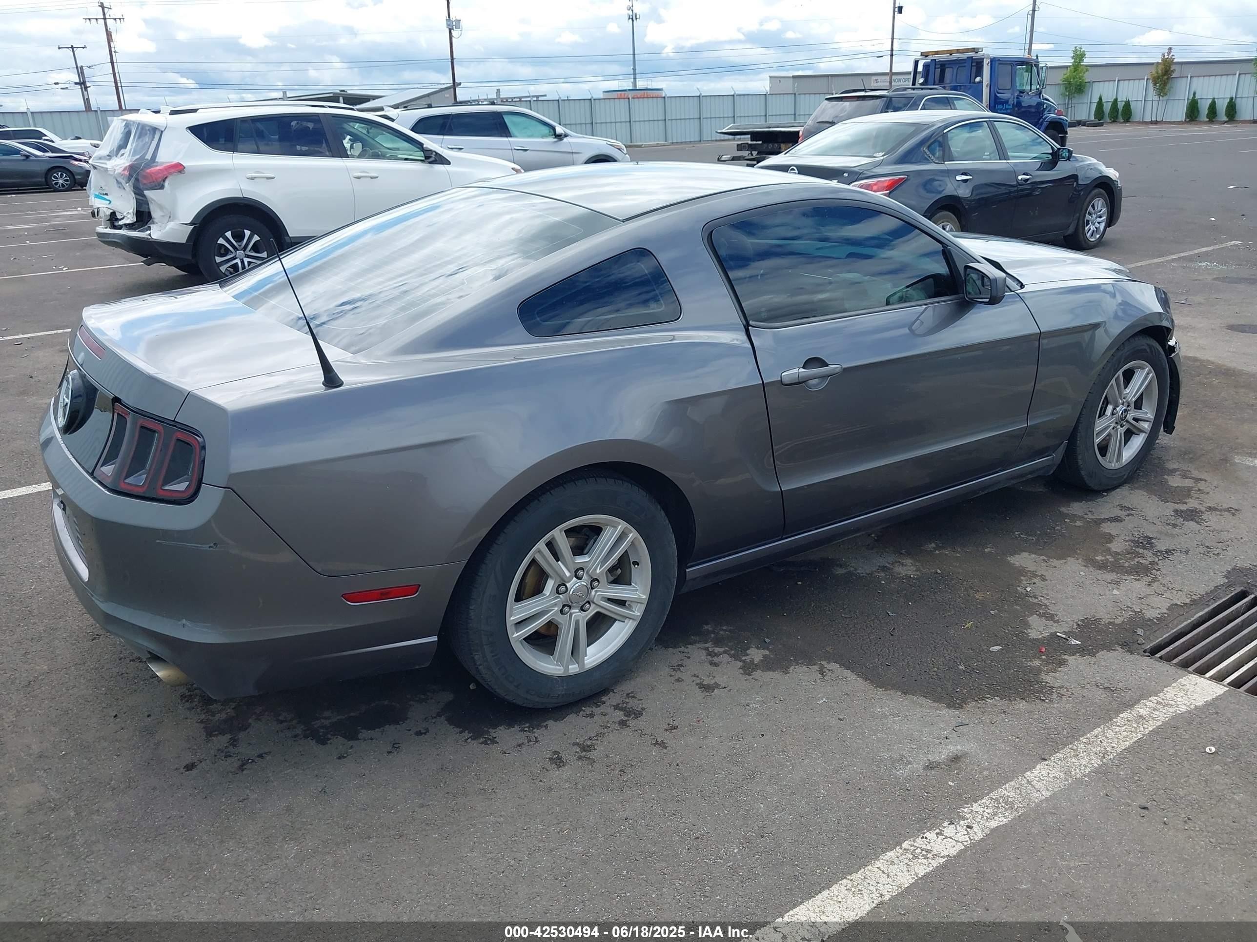 2014 Ford Mustang V6 Gray vin: 1ZVBP8AM5E5328302