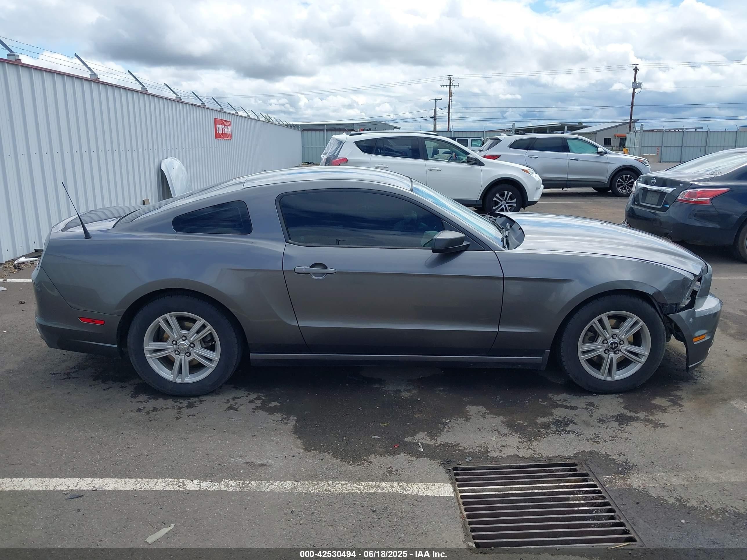2014 Ford Mustang V6 Gray vin: 1ZVBP8AM5E5328302