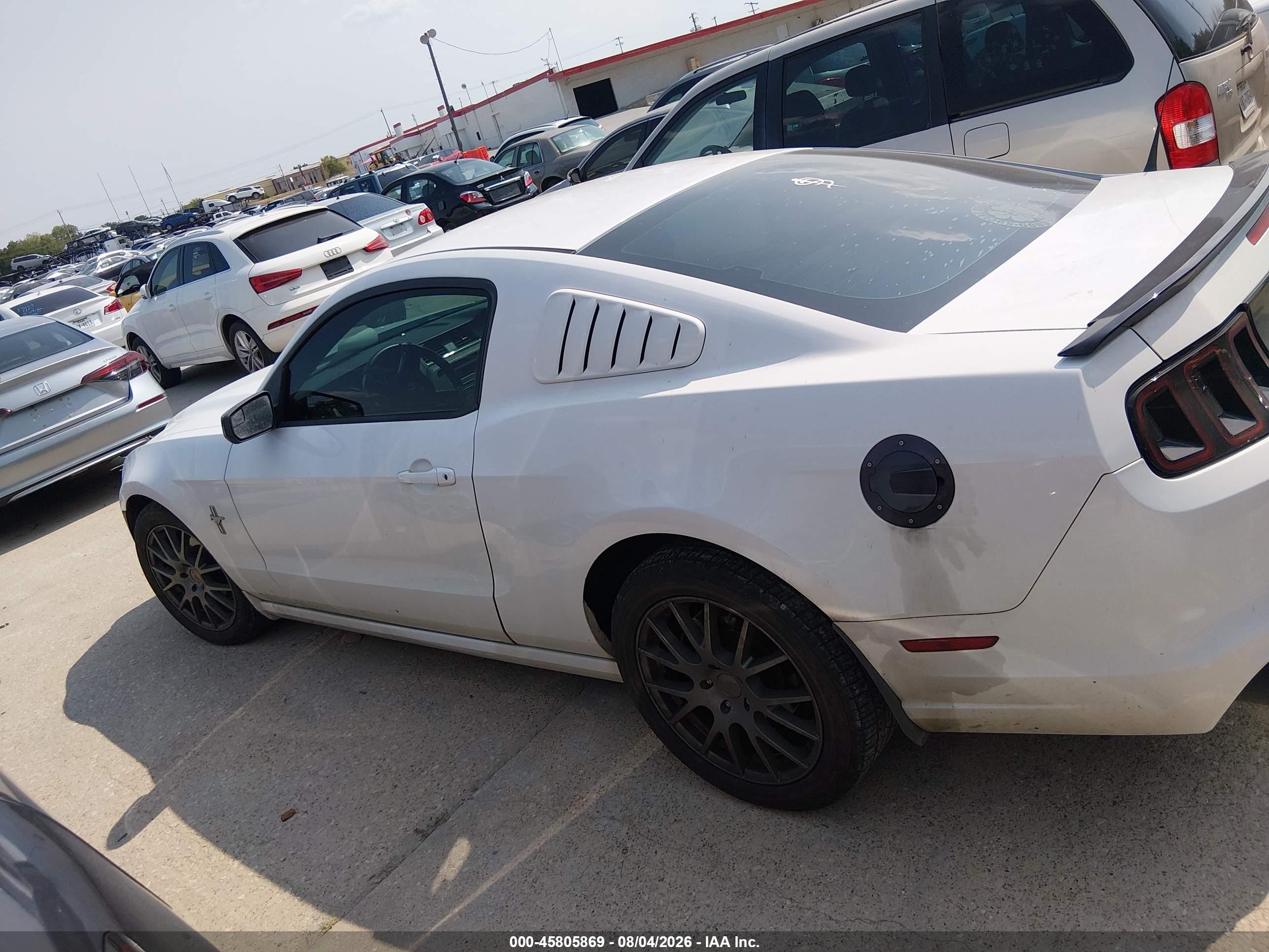 2014 Ford Mustang V6 White vin: 1ZVBP8AM5E5331877
