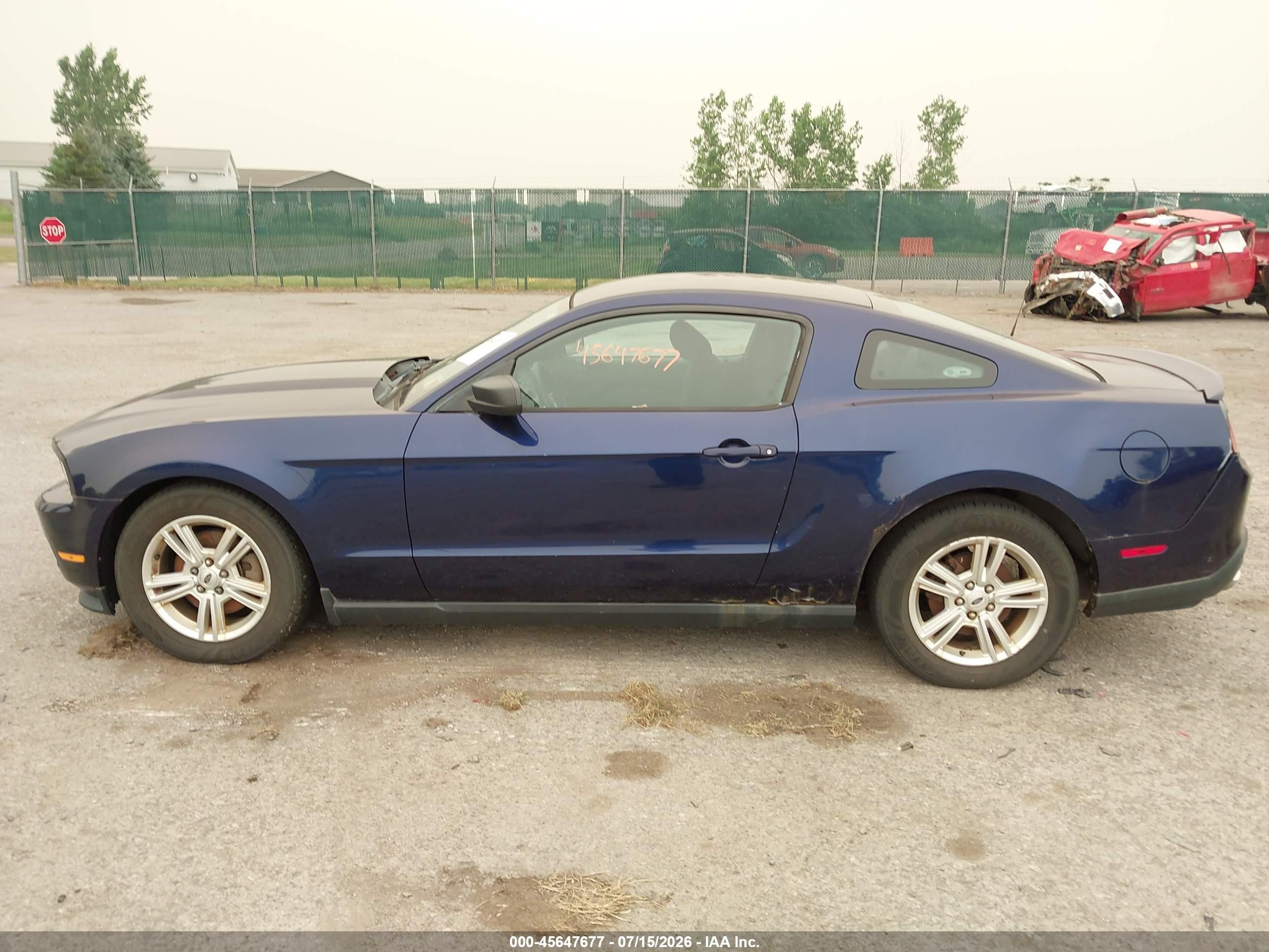 2011 Ford Mustang V6 Blue vin: 1ZVBP8AM6B5157216