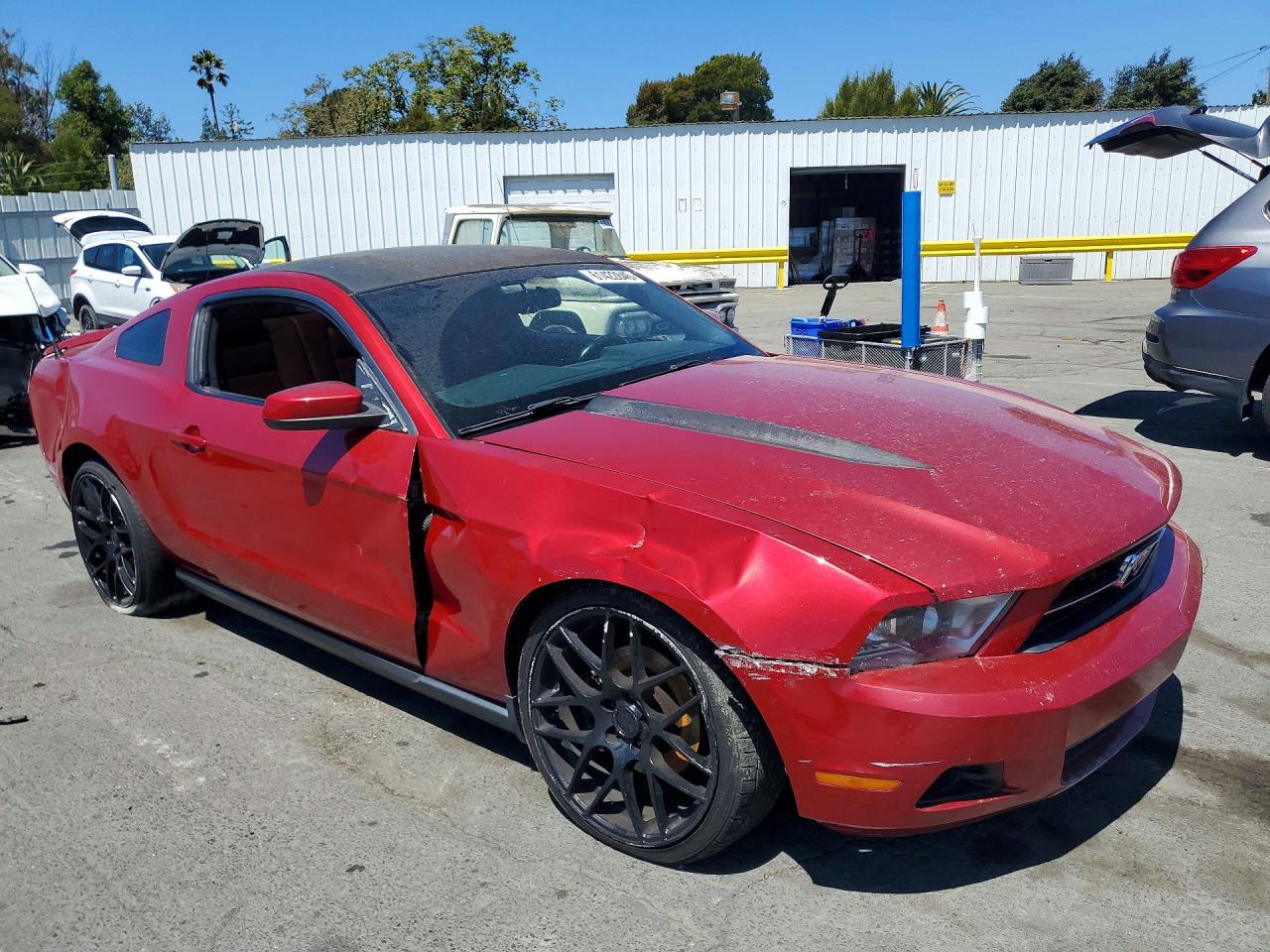 2011 Ford Mustang Red vin: 1ZVBP8AM6B5157734