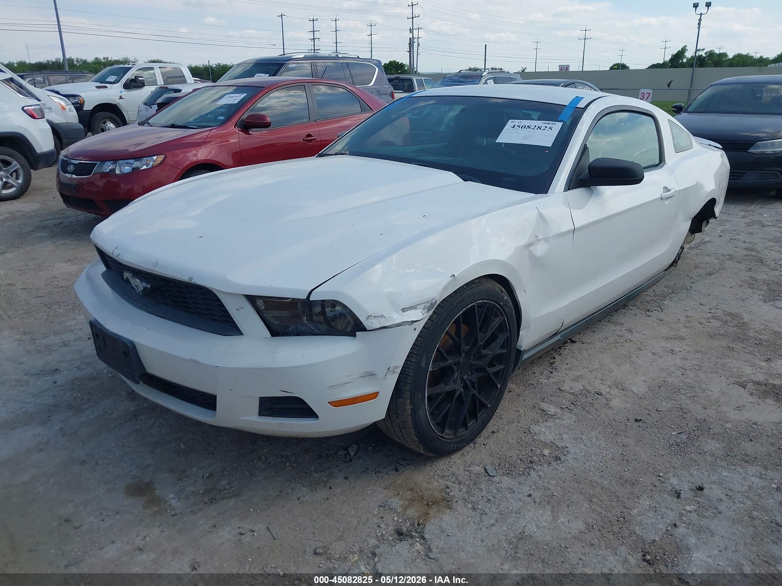 2012 Ford Mustang V6 Premium White vin: 1ZVBP8AM6C5205606