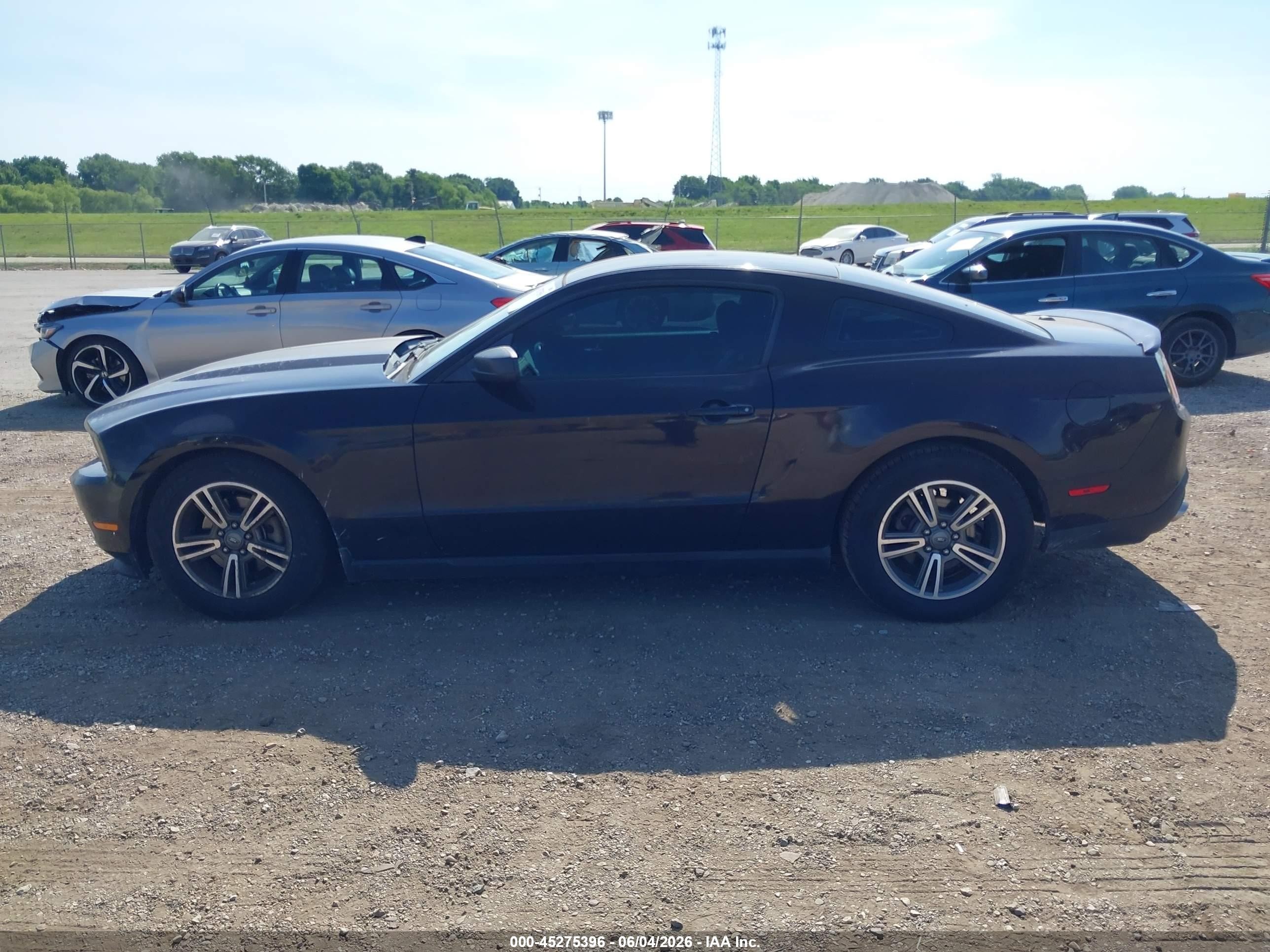 2012 Ford Mustang V6 Premium Black vin: 1ZVBP8AM6C5210837
