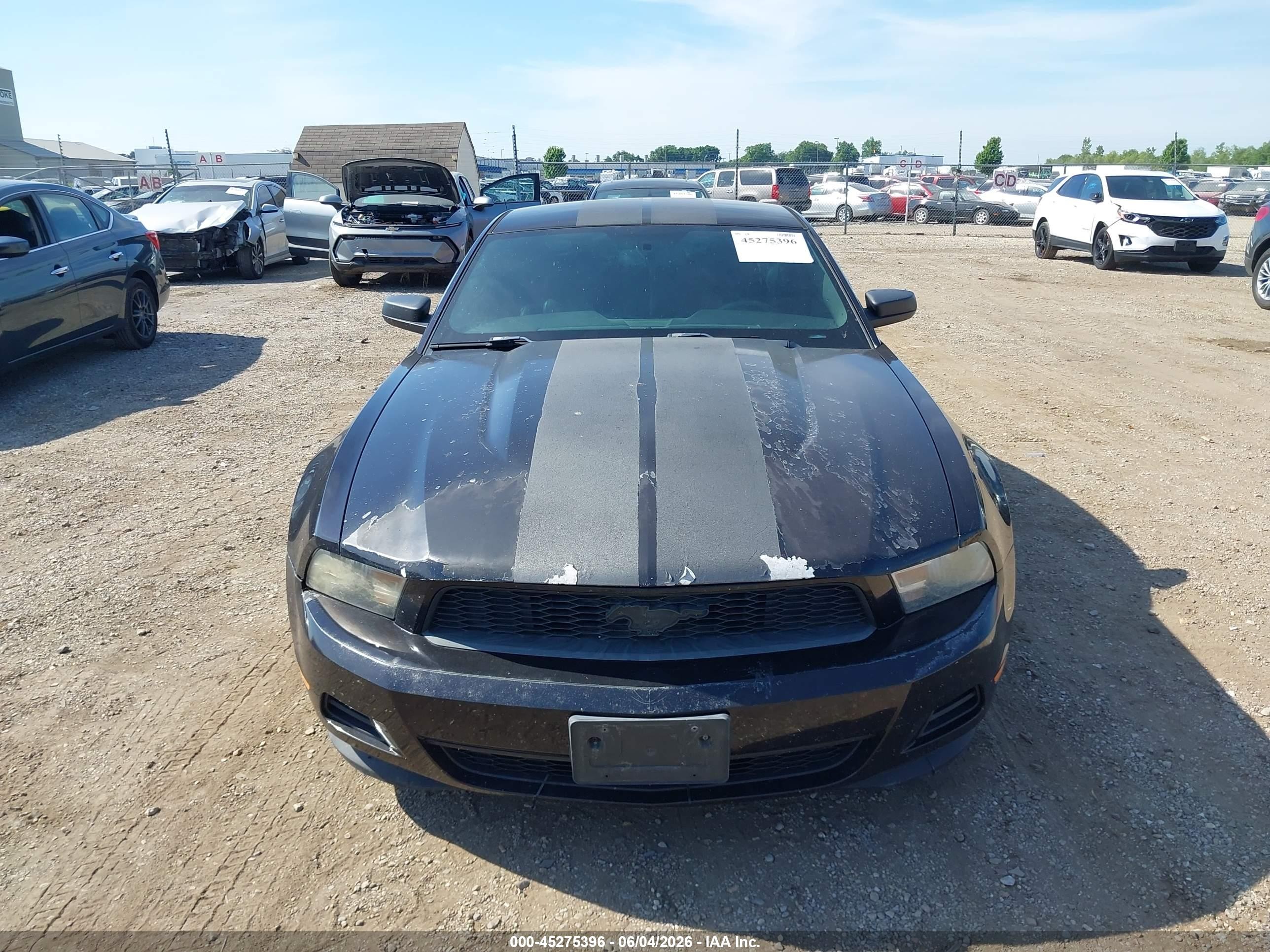 2012 Ford Mustang V6 Premium Black vin: 1ZVBP8AM6C5210837