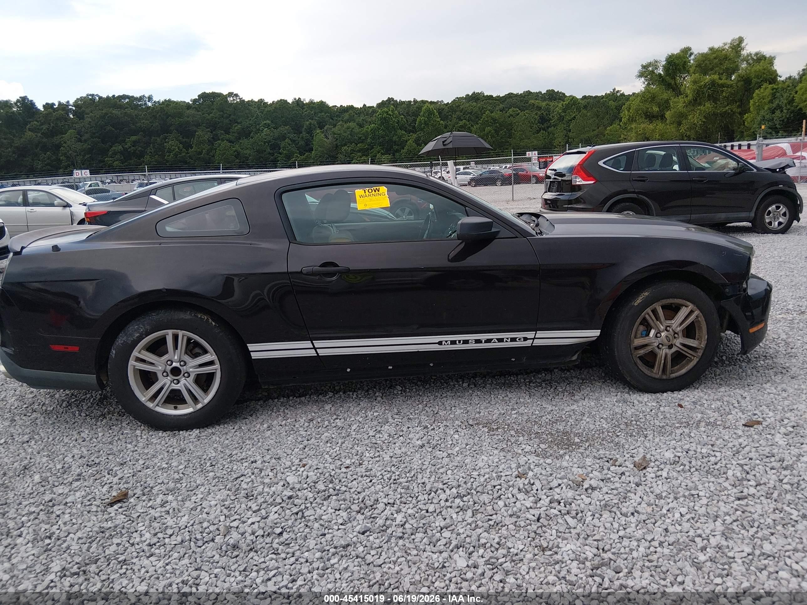 2012 Ford Mustang V6/v6 Premium Black vin: 1ZVBP8AM6C5223250