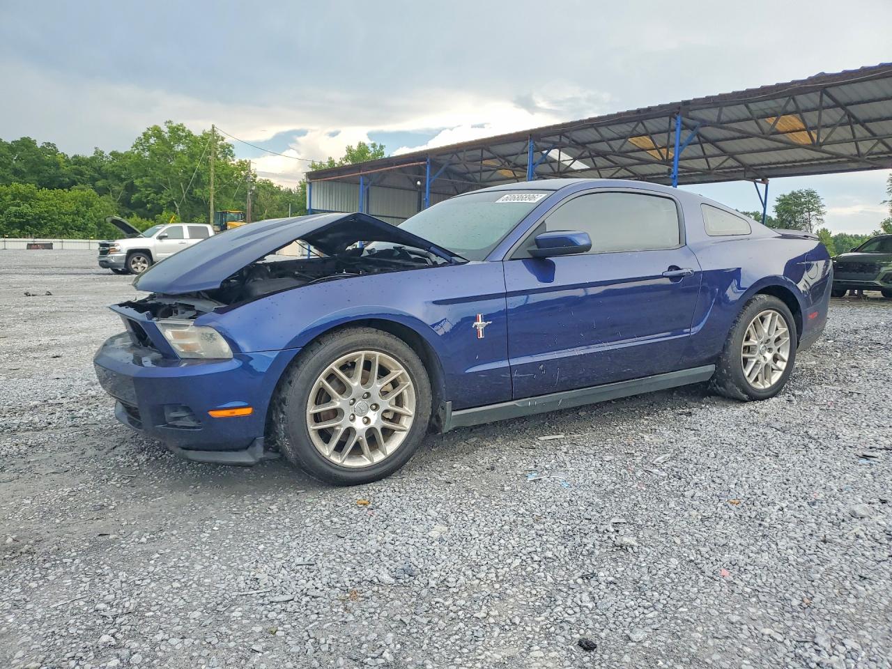 2012 Ford Mustang Blue vin: 1ZVBP8AM6C5240792