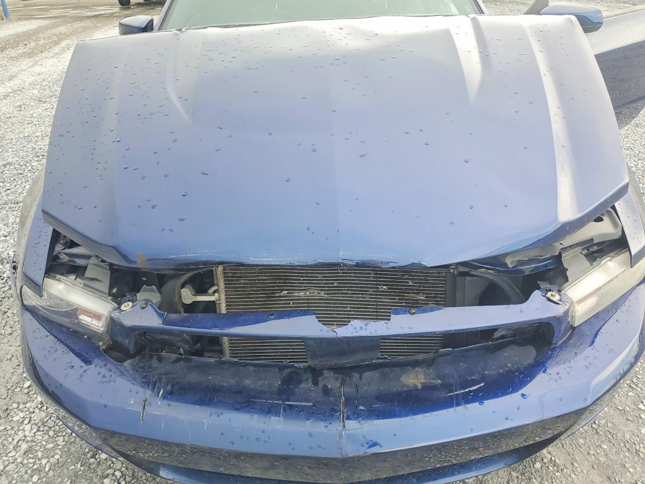 2012 Ford Mustang Blue vin: 1ZVBP8AM6C5240792